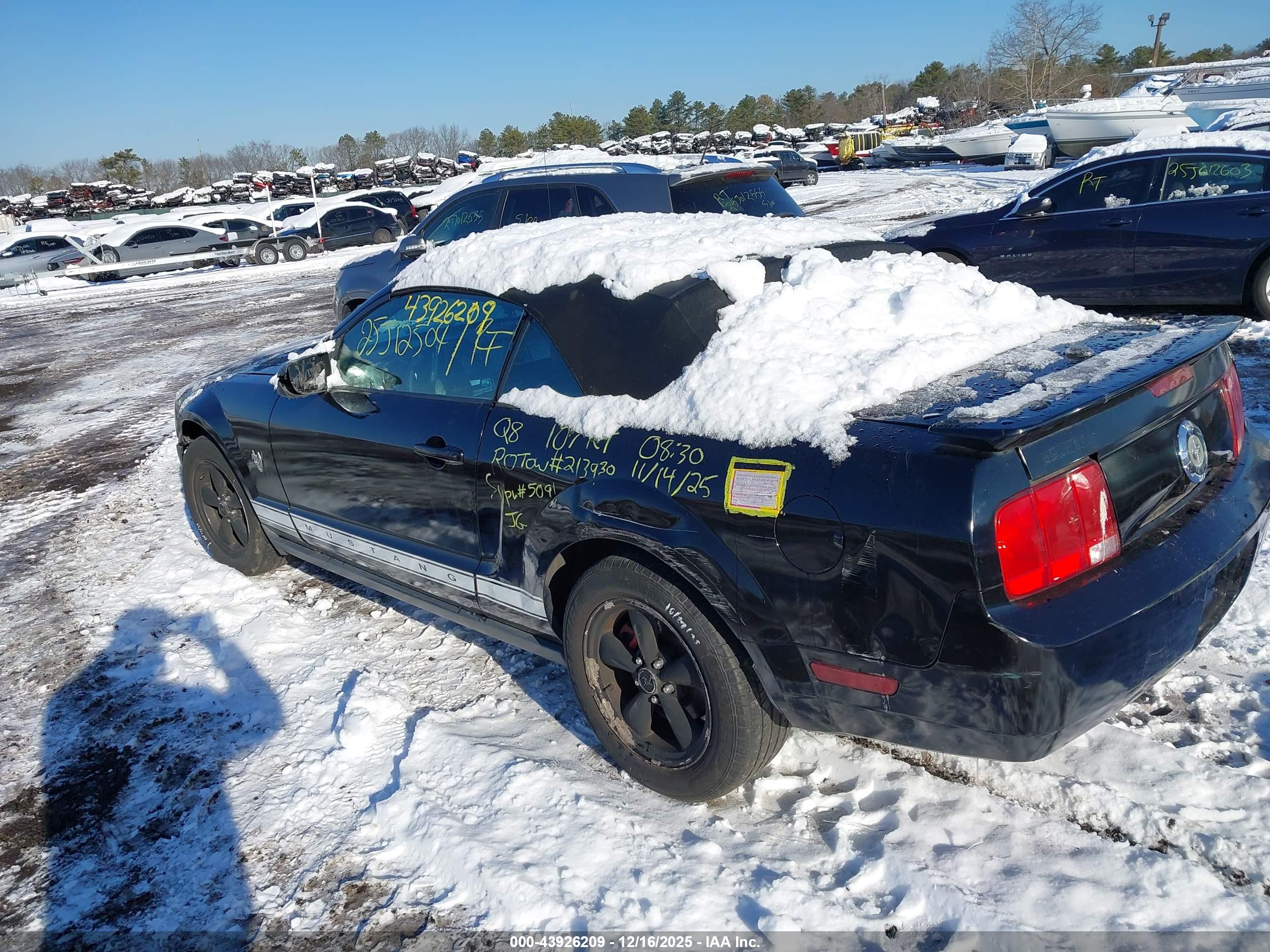 FORD MUSTANG image 3