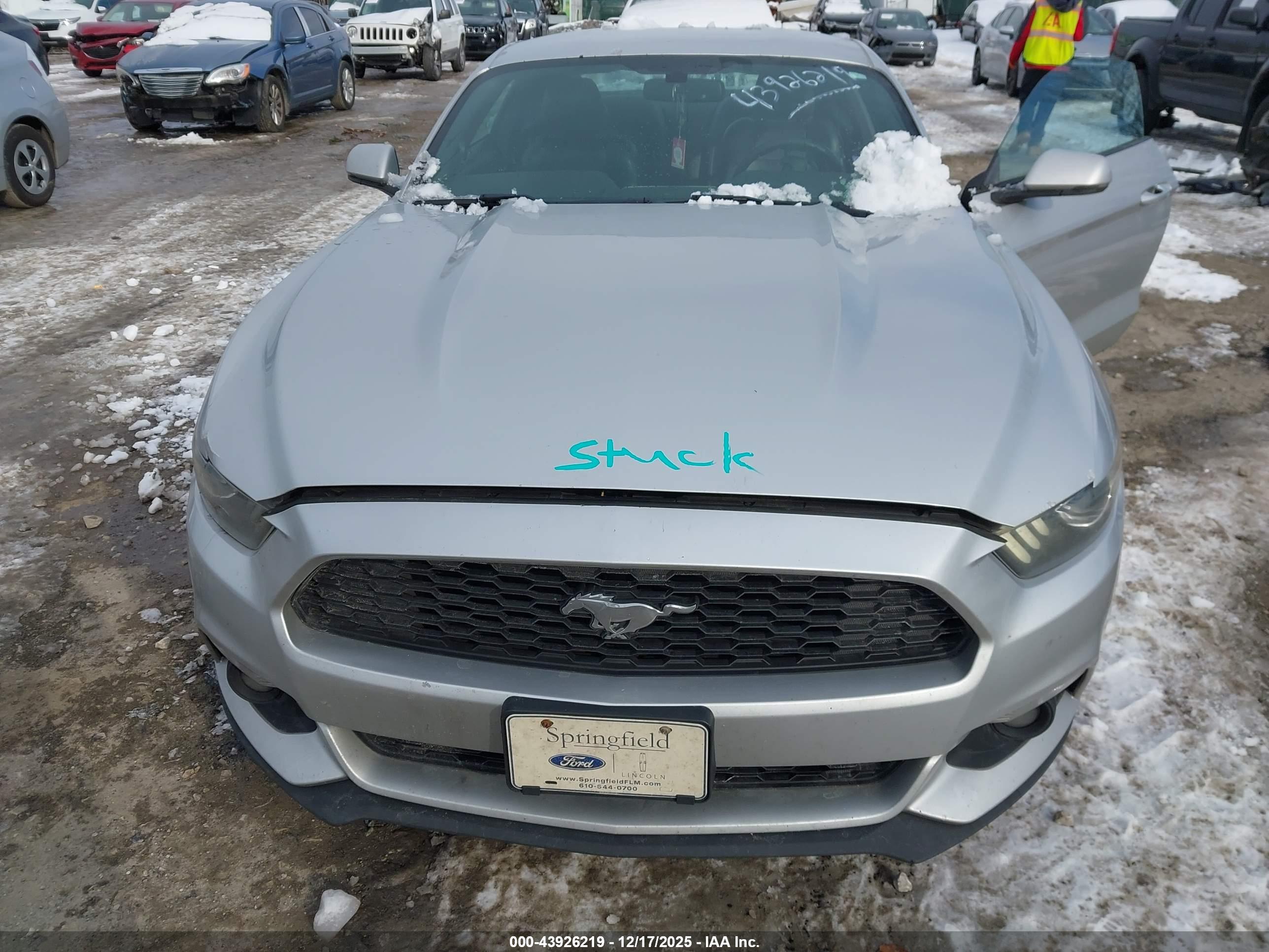 FORD MUSTANG image 10