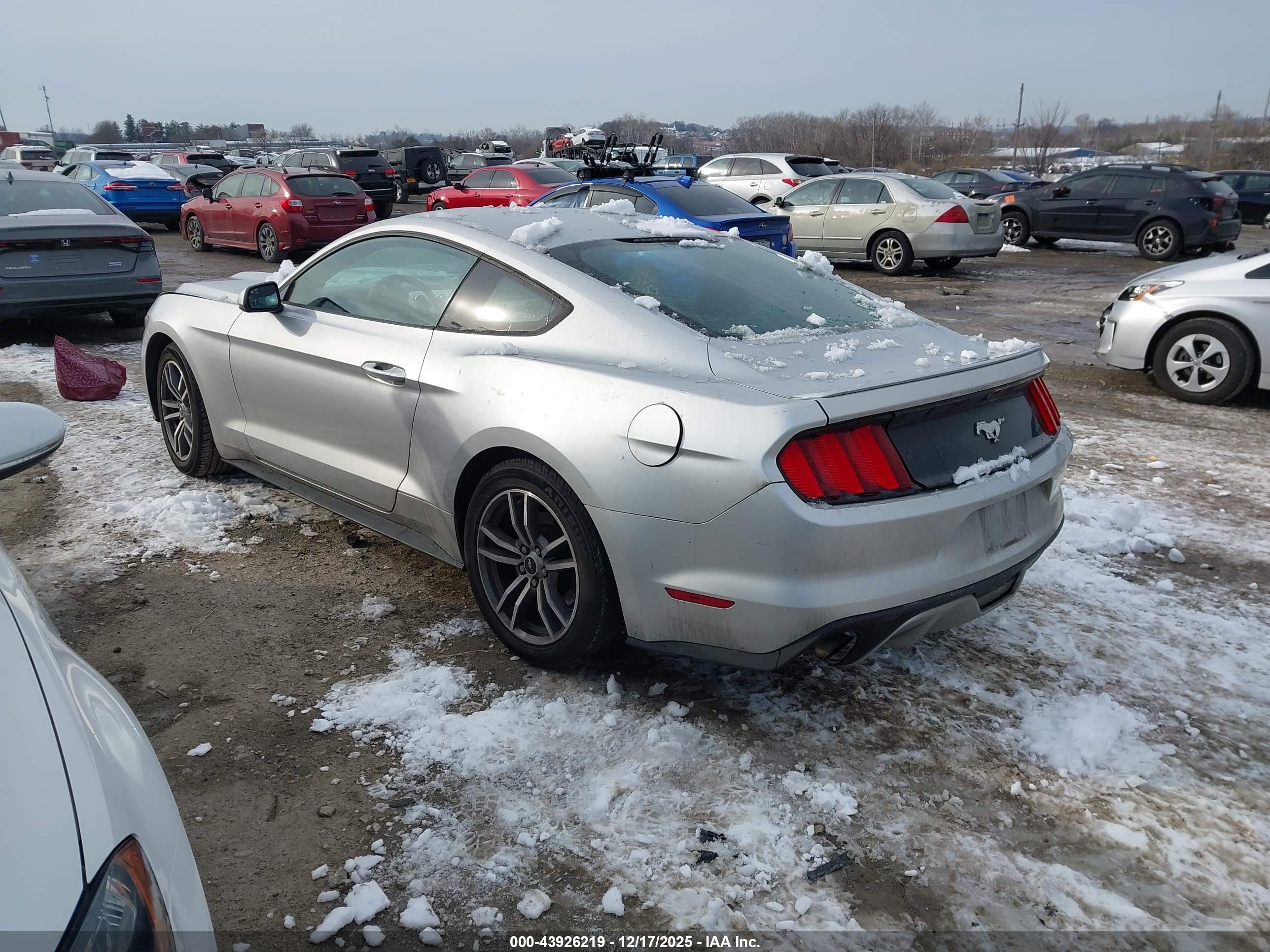 FORD MUSTANG image 3