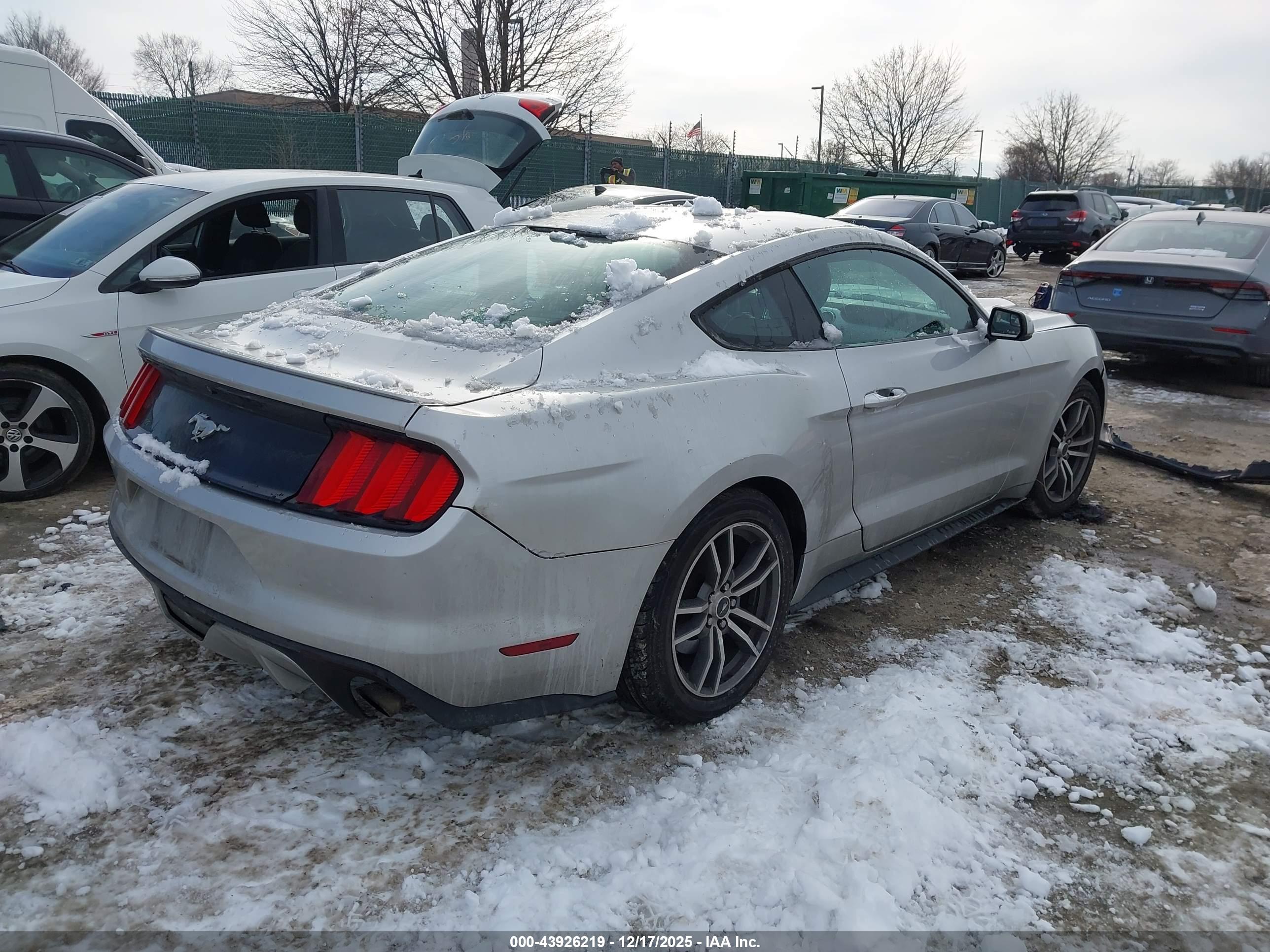 FORD MUSTANG image 4