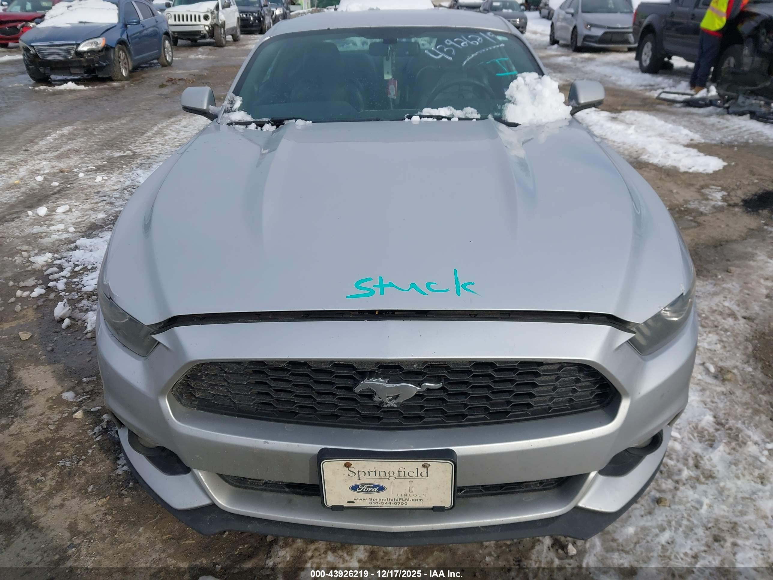 FORD MUSTANG image 6