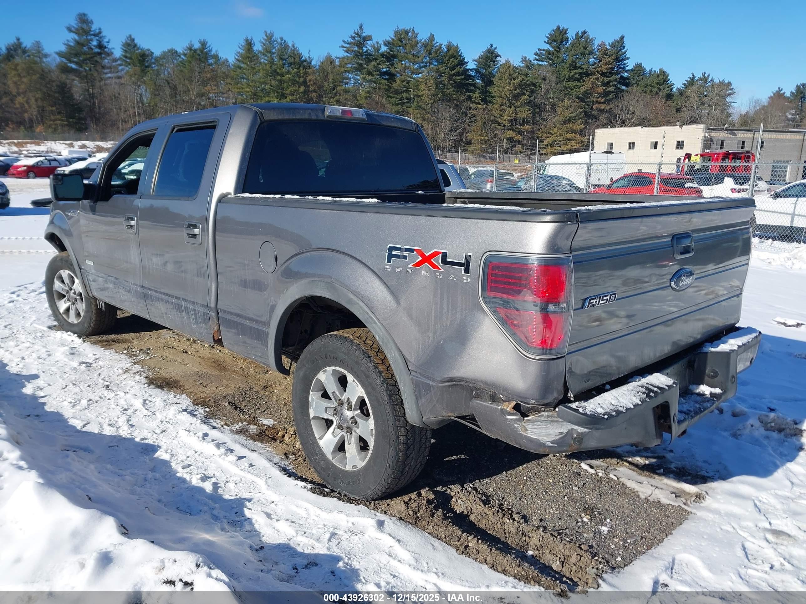 FORD F-150 image 3