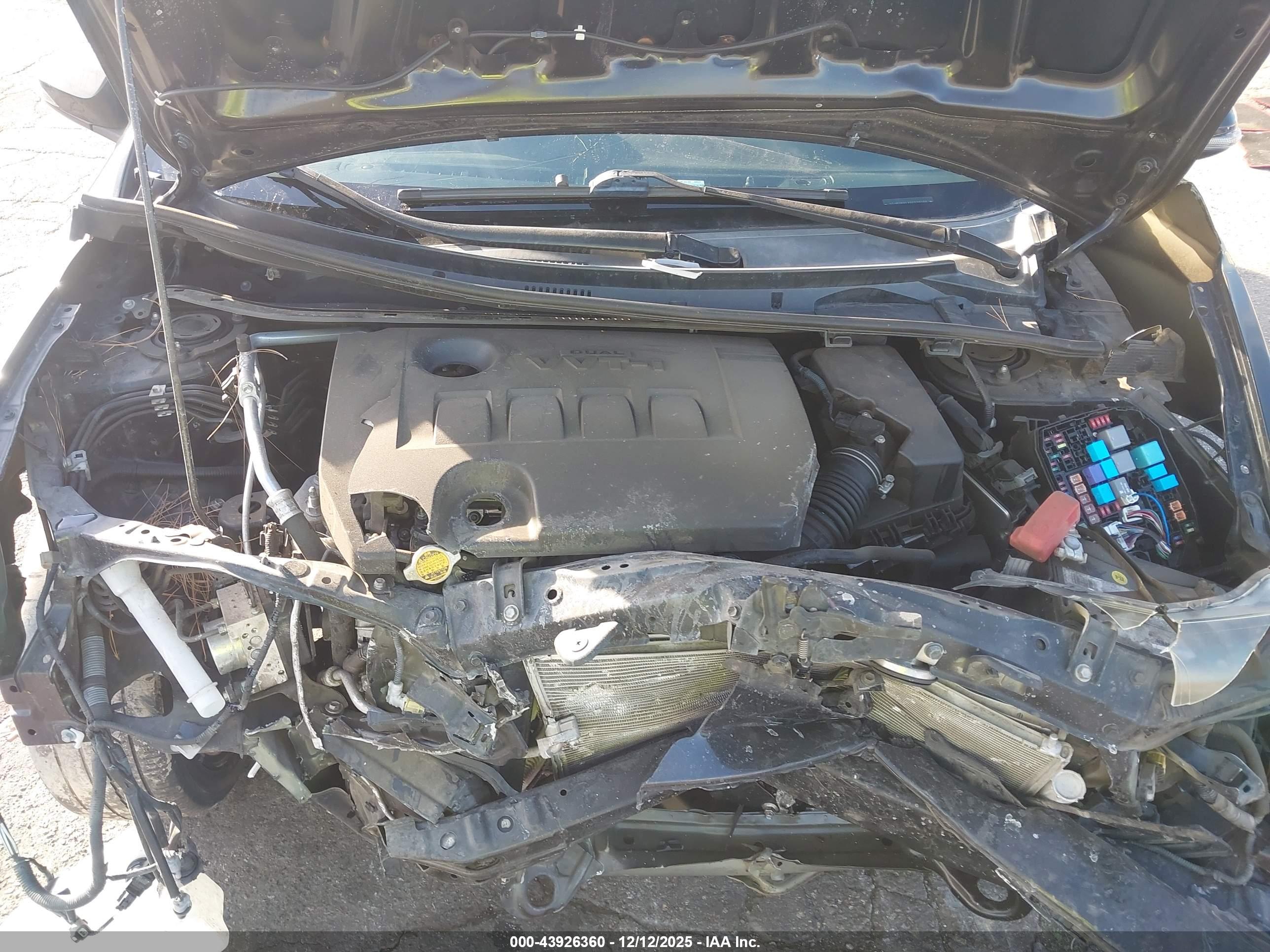 TOYOTA COROLLA image 10