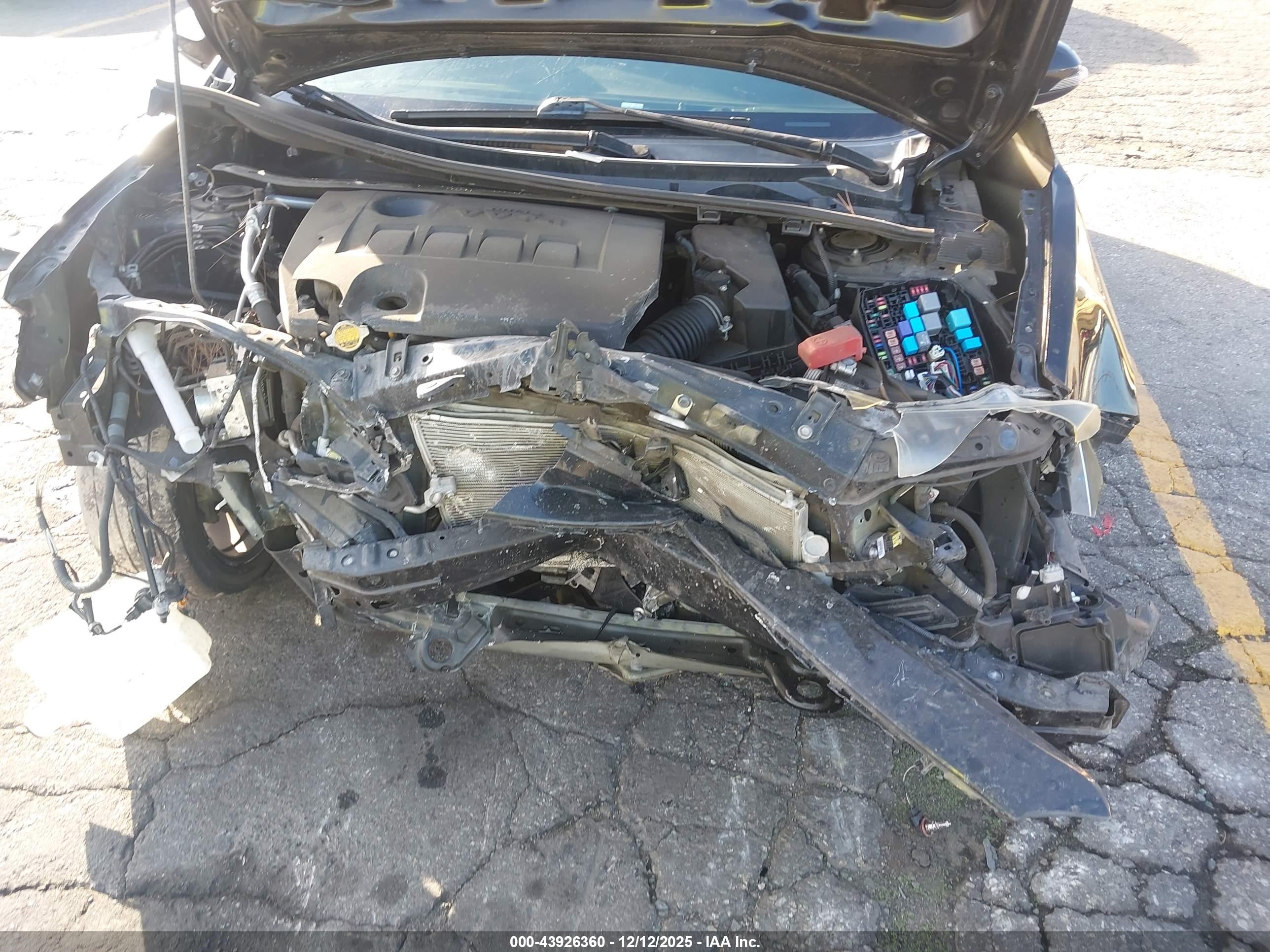 TOYOTA COROLLA image 6