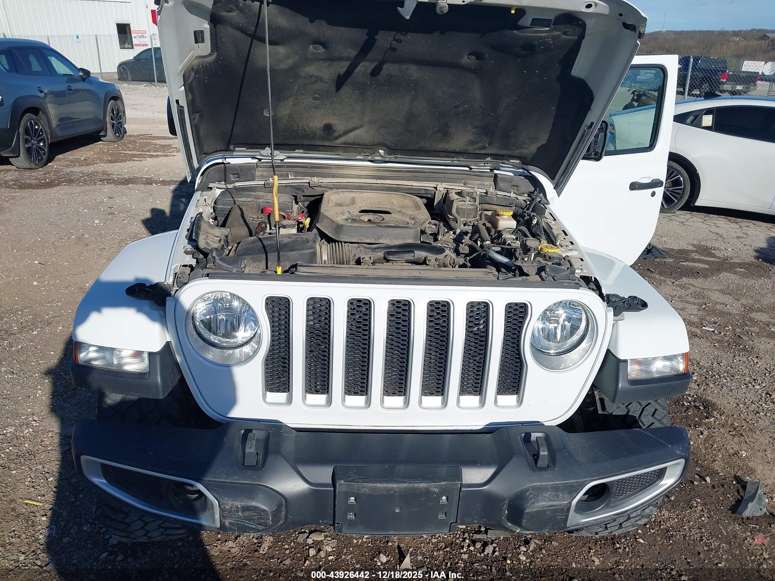JEEP WRANGLER image 10
