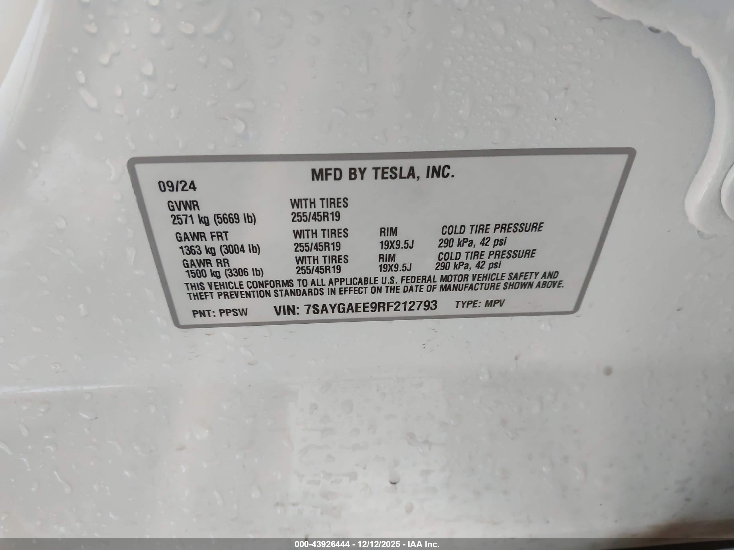 TESLA MODEL image 9