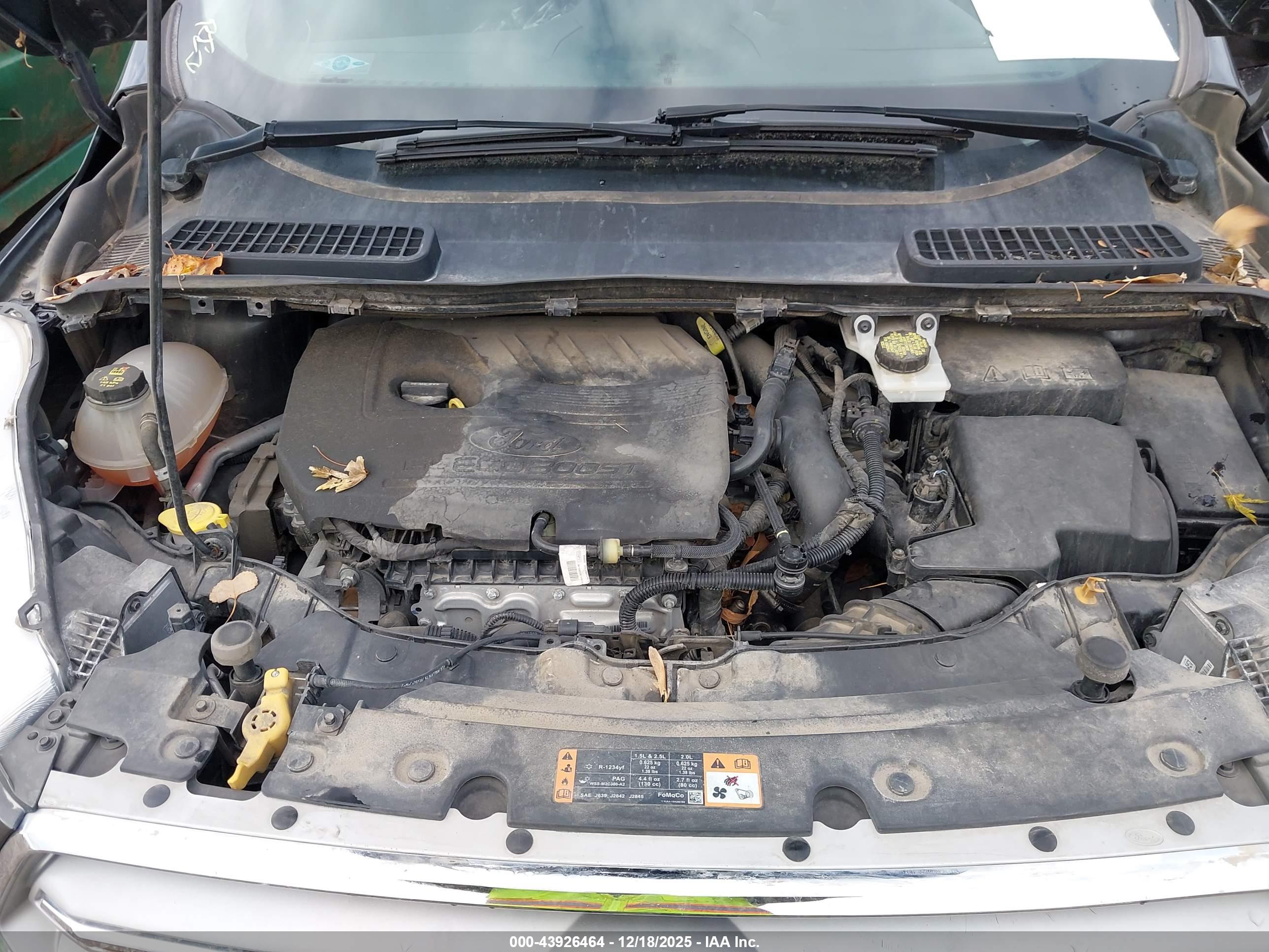 FORD ESCAPE image 10