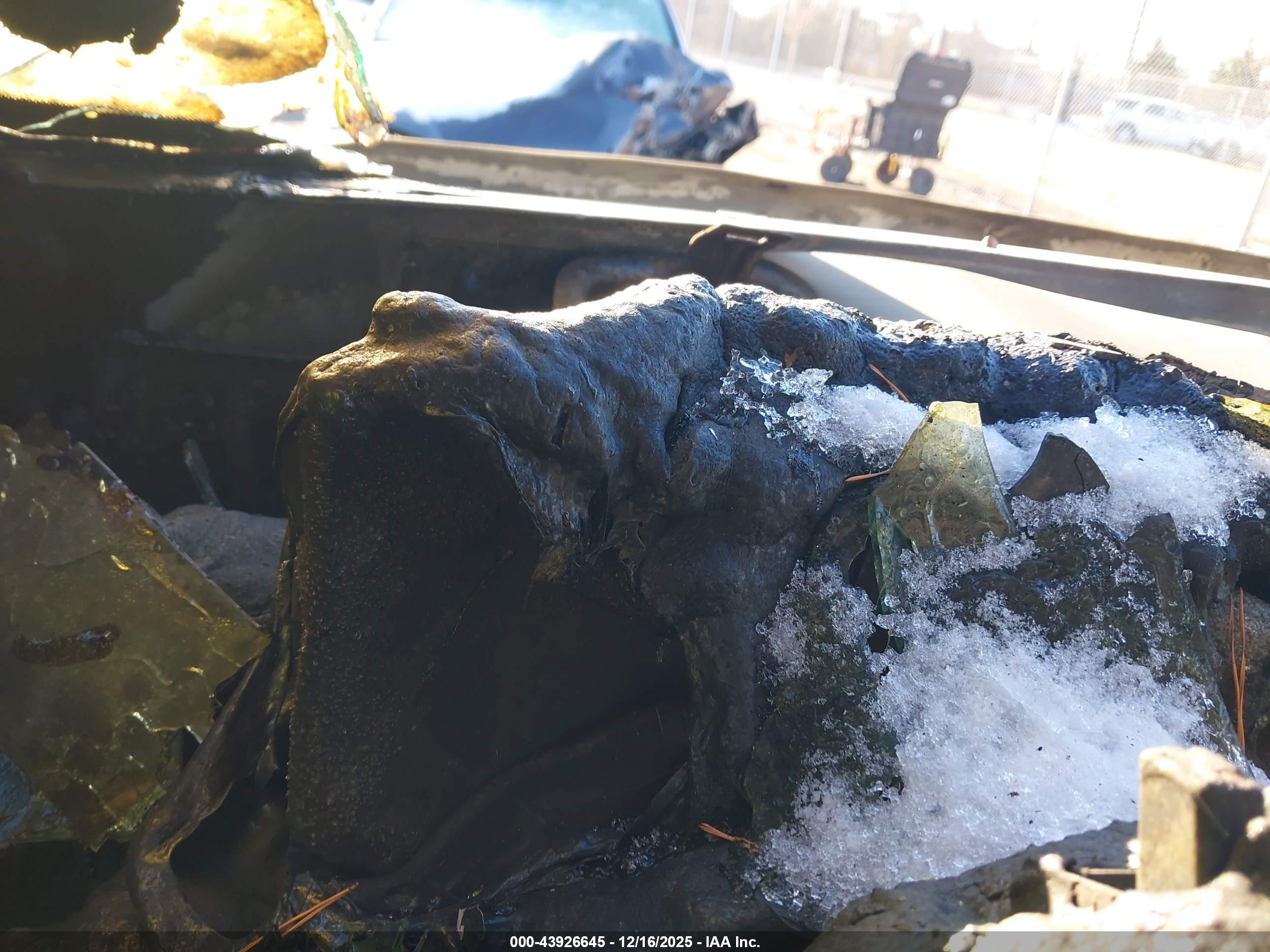 FORD F-250 image 7