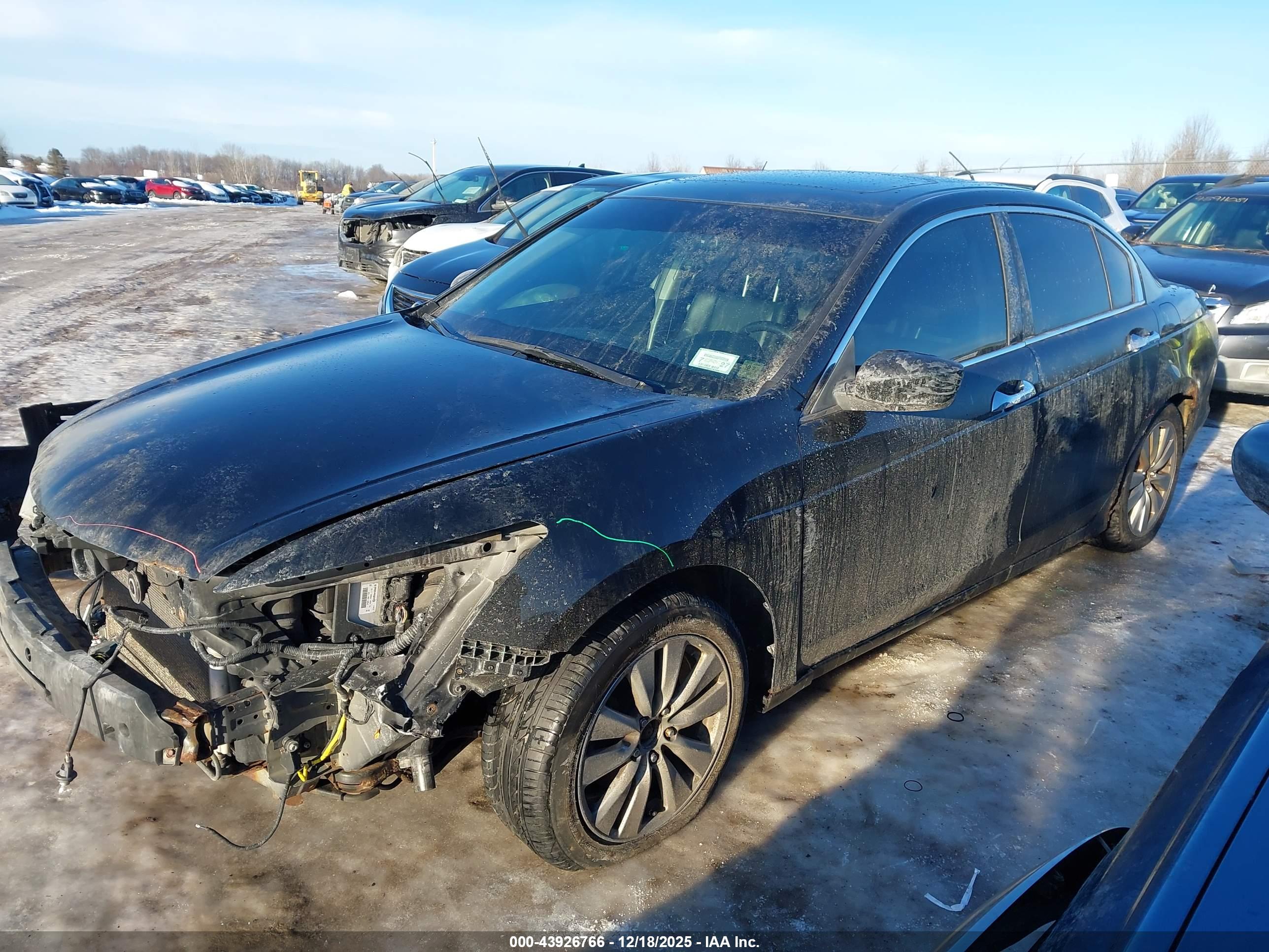 HONDA ACCORD image 2
