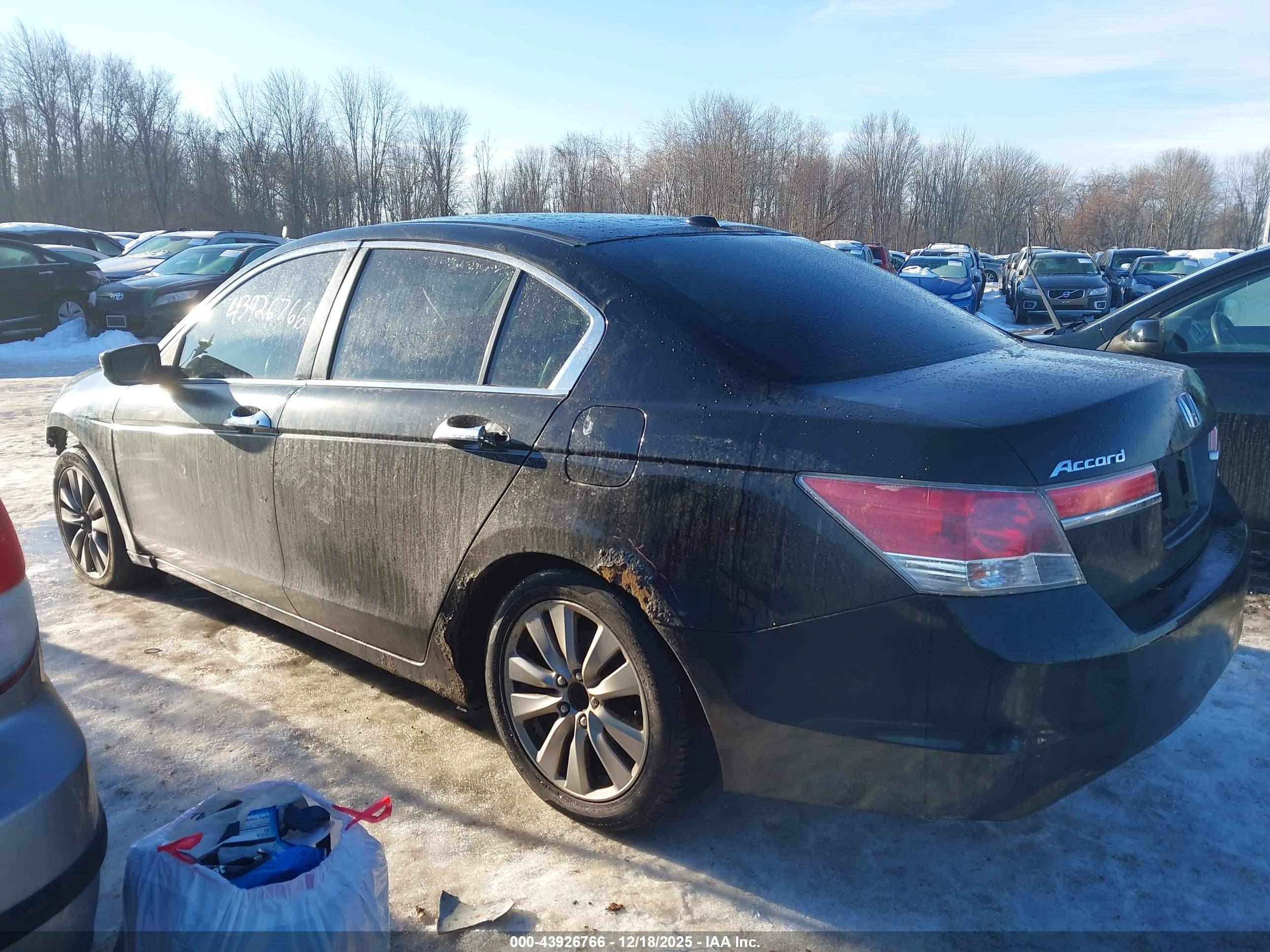 HONDA ACCORD image 3