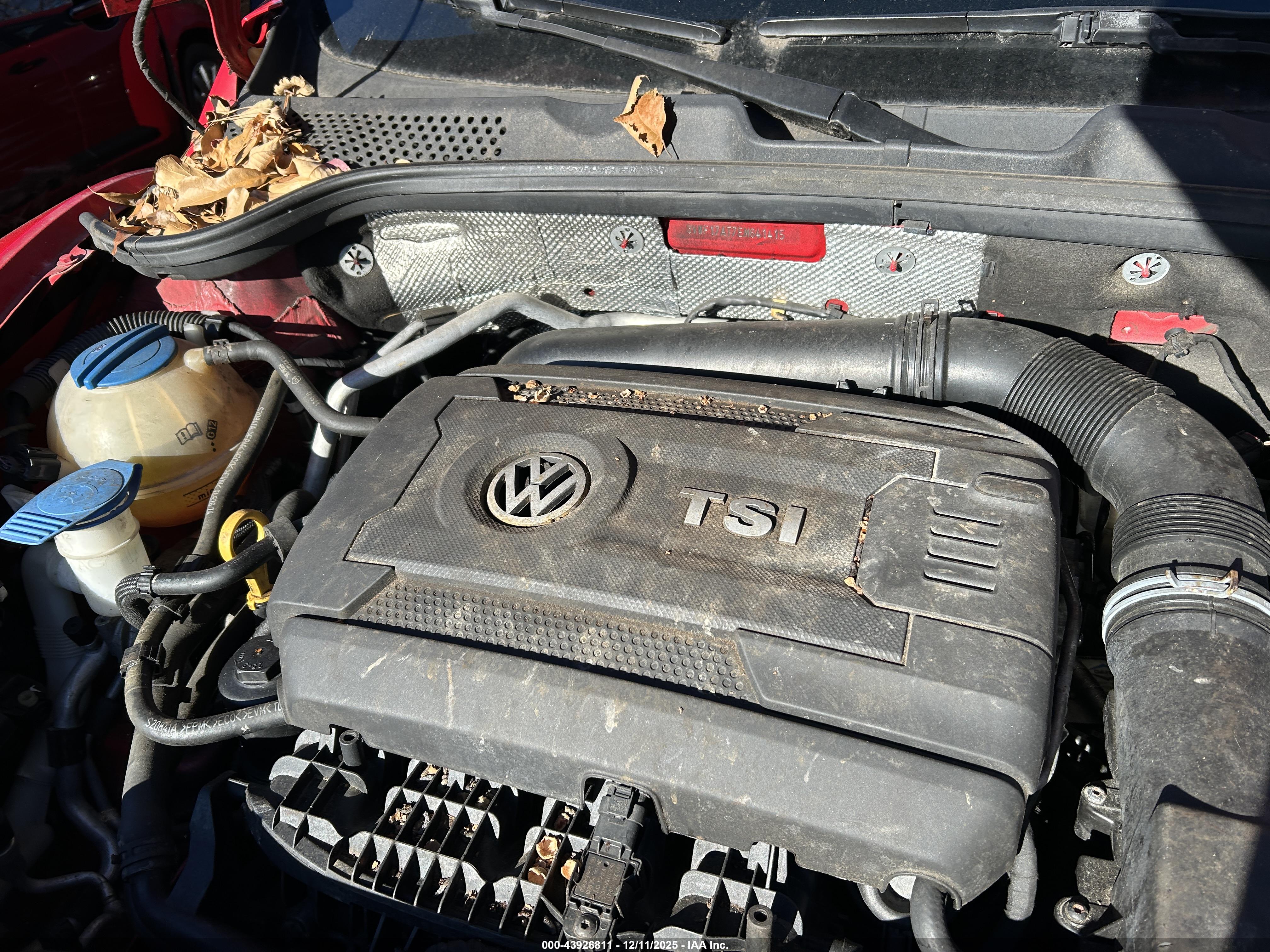 VOLKSWAGEN BEETLE image 10