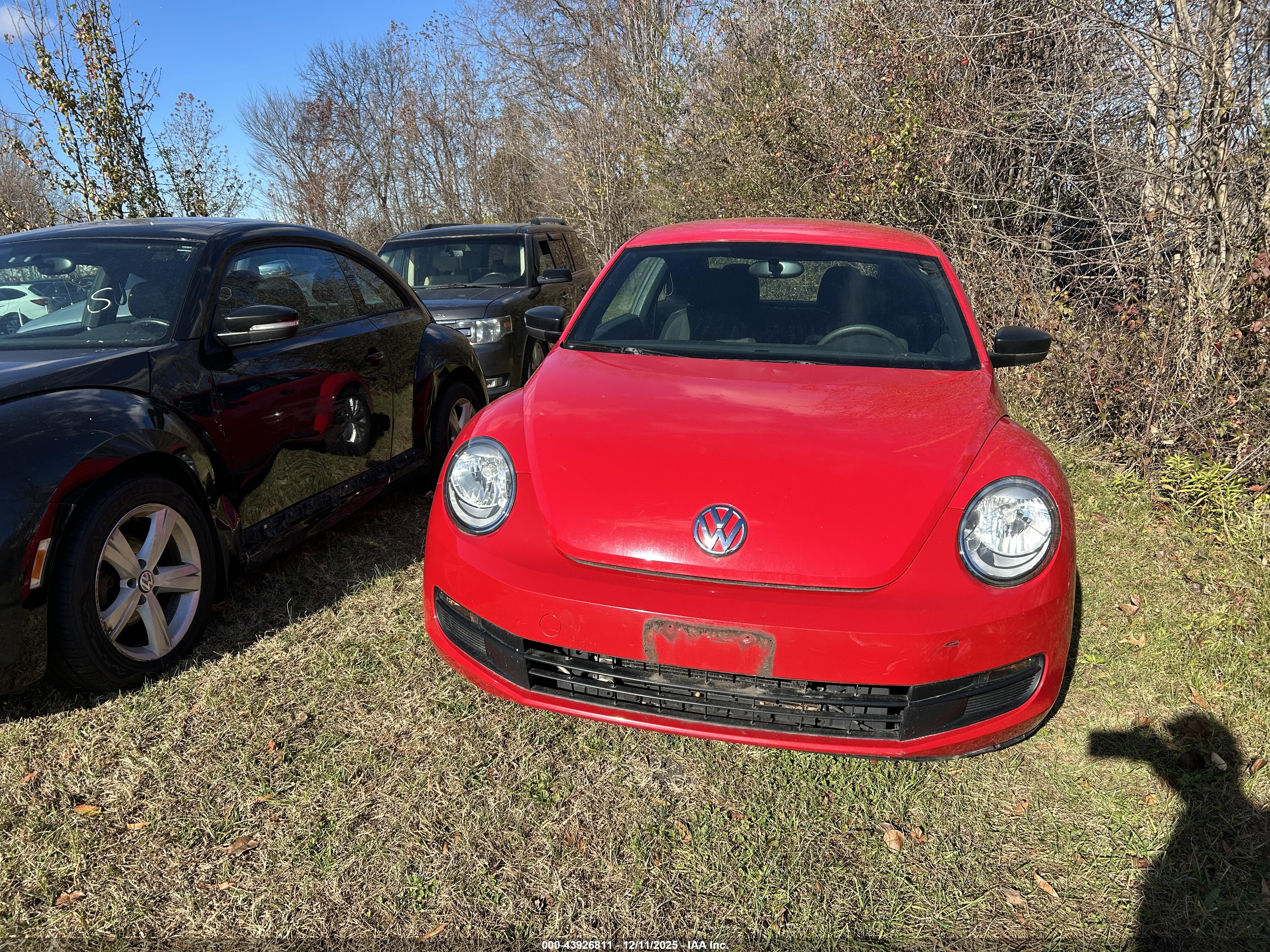 VOLKSWAGEN BEETLE image 6
