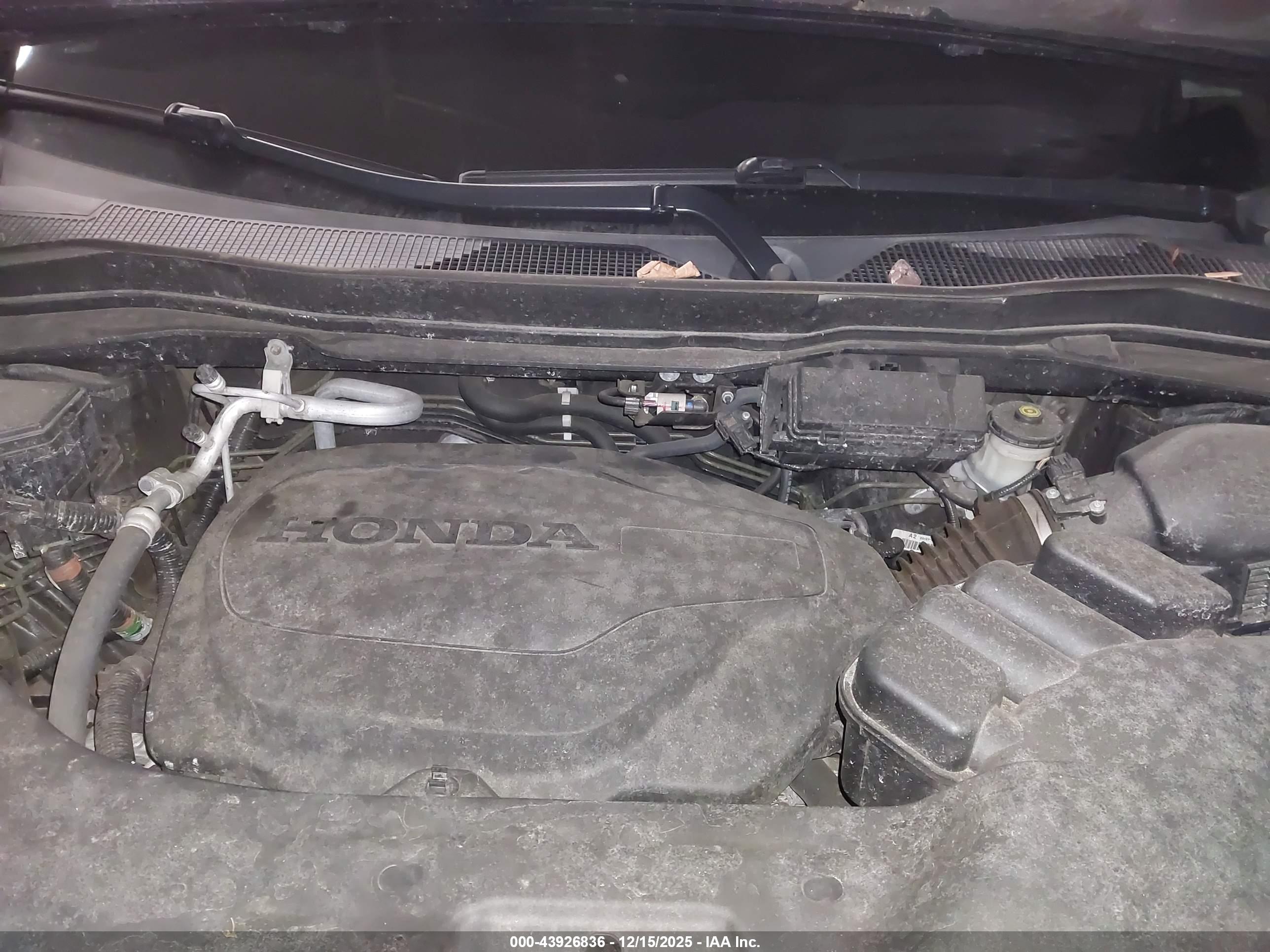 HONDA PASSPORT image 10
