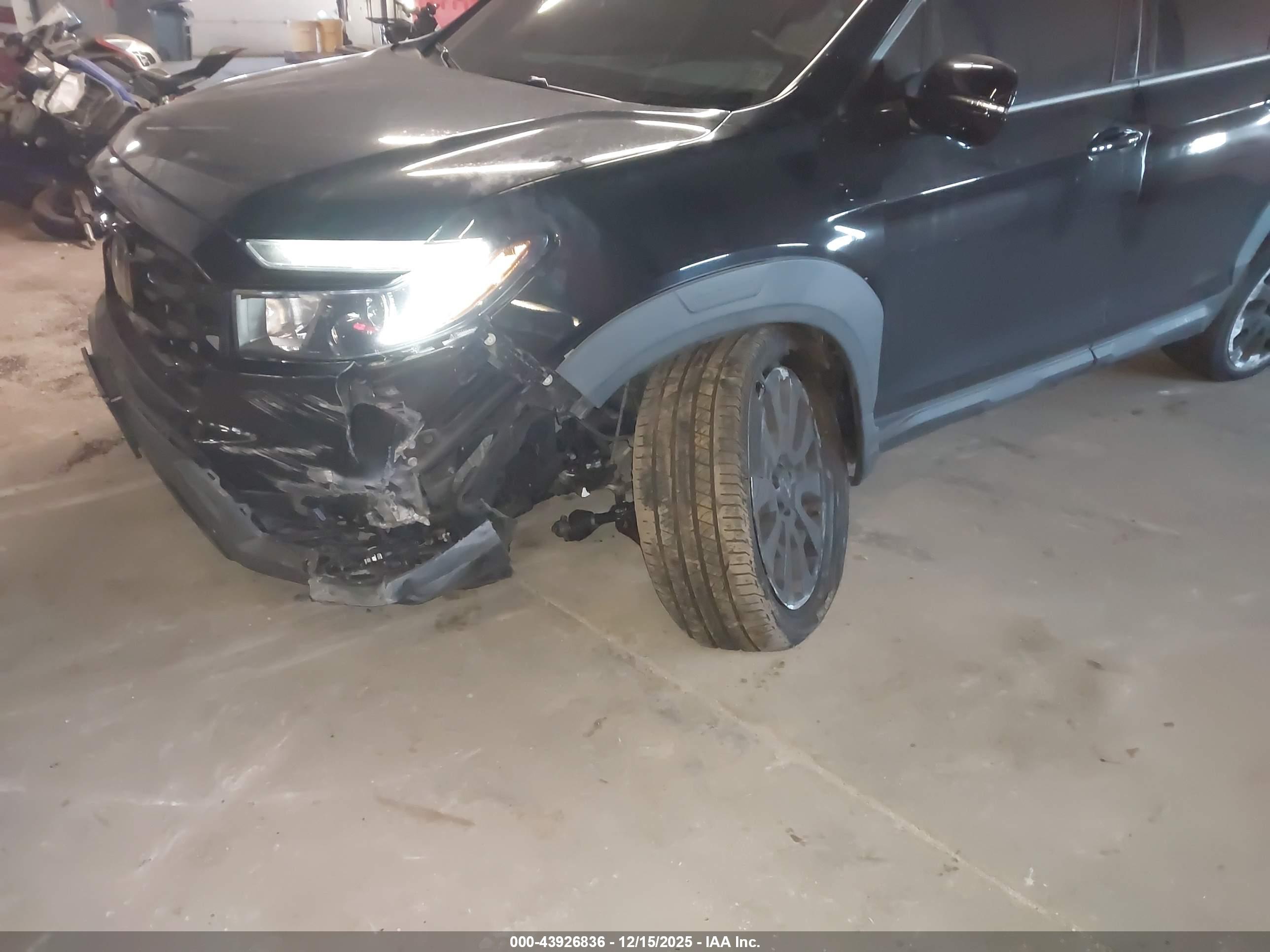 HONDA PASSPORT image 6