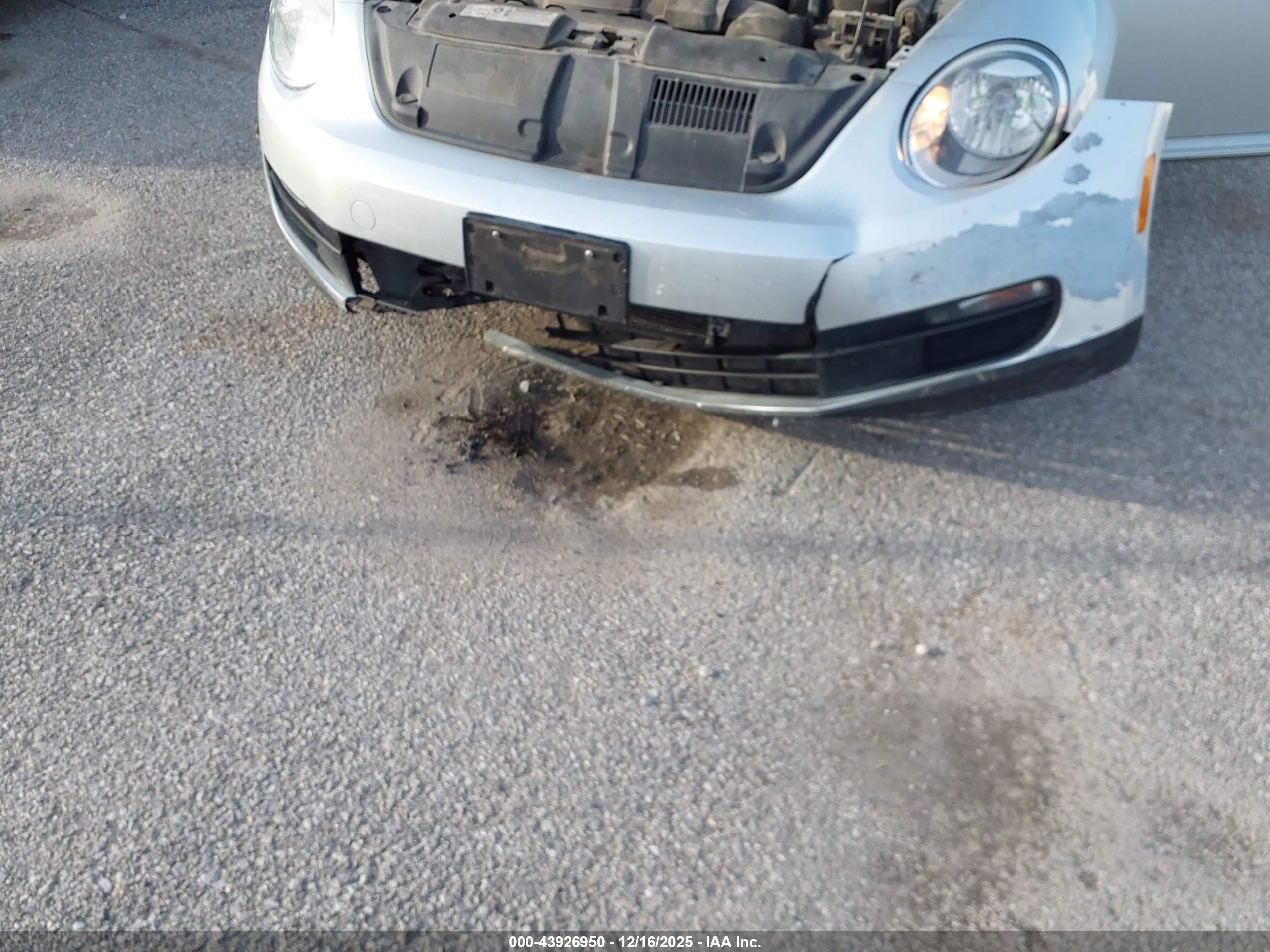 VOLKSWAGEN BEETLE image 6