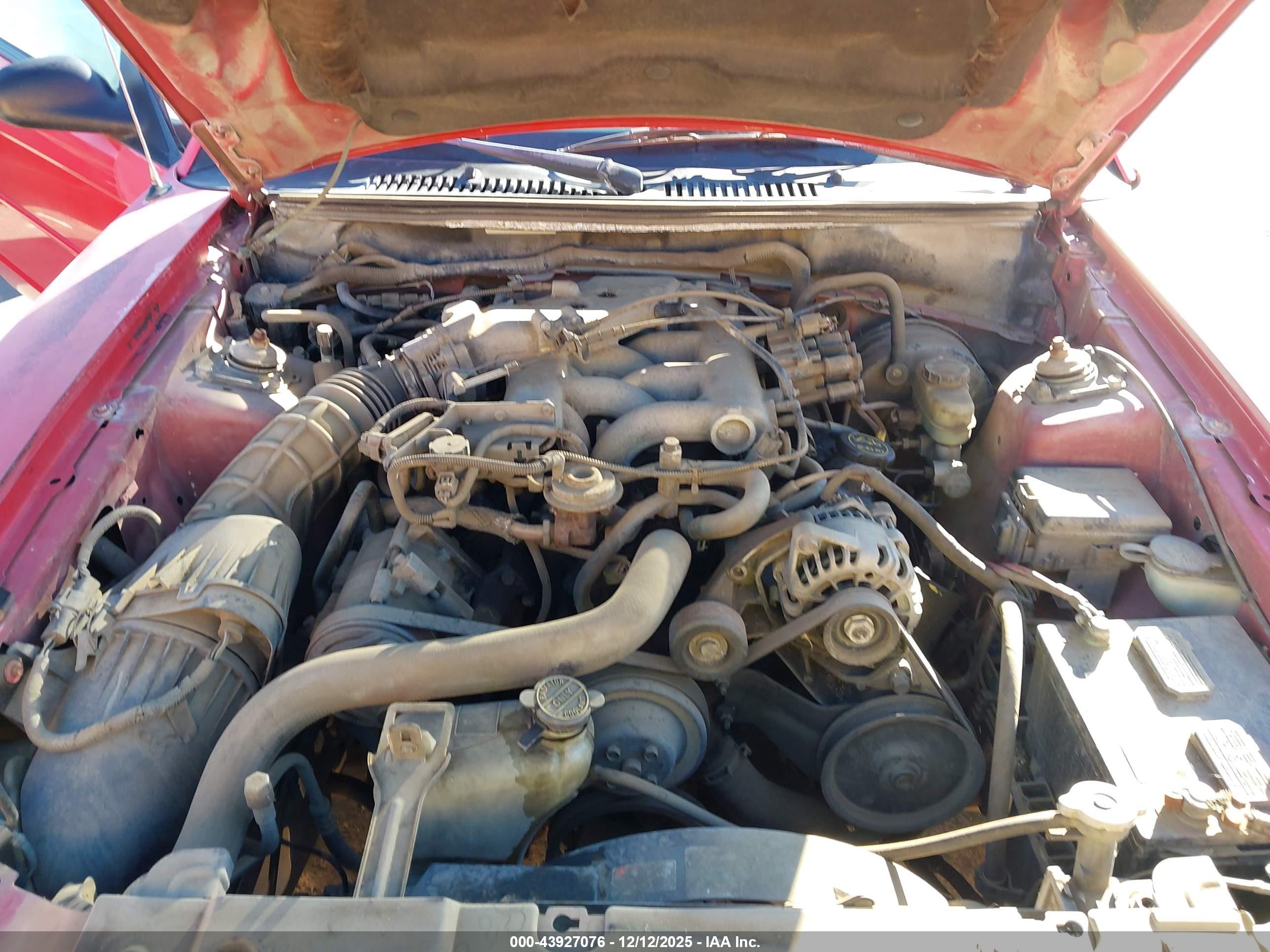 FORD MUSTANG image 10