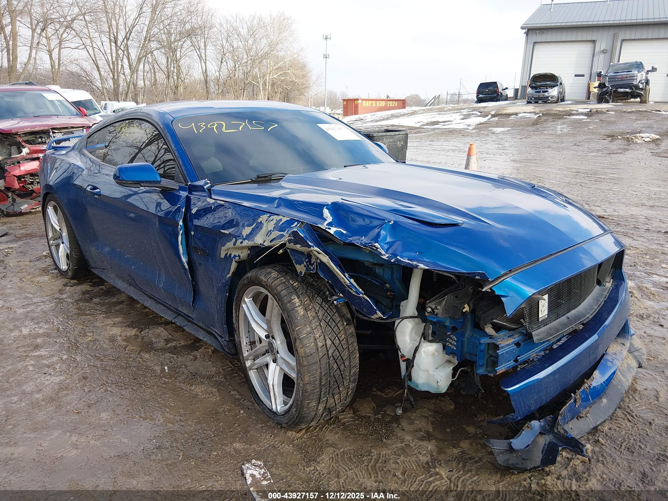 FORD MUSTANG image 6