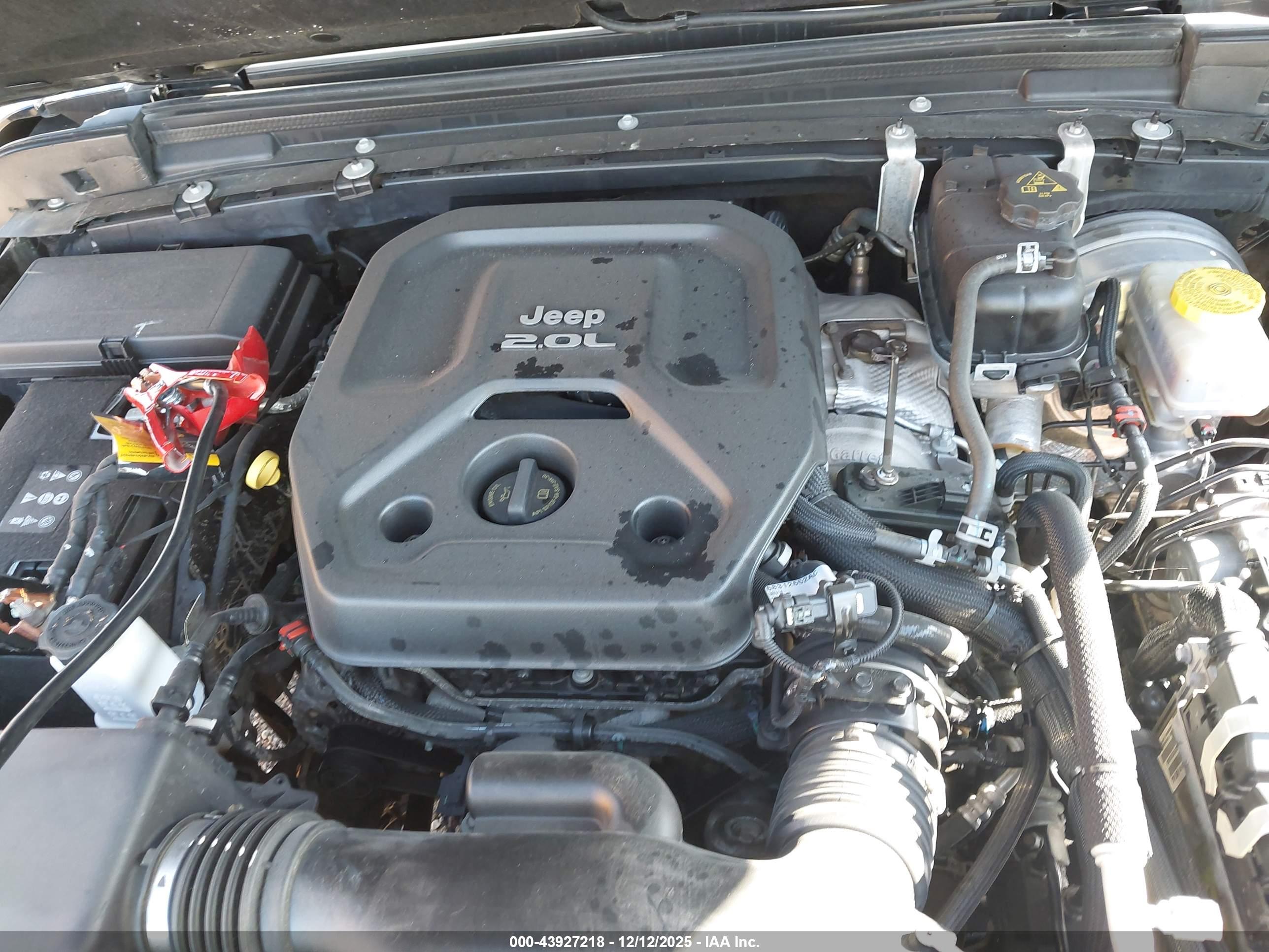 JEEP WRANGLER image 10