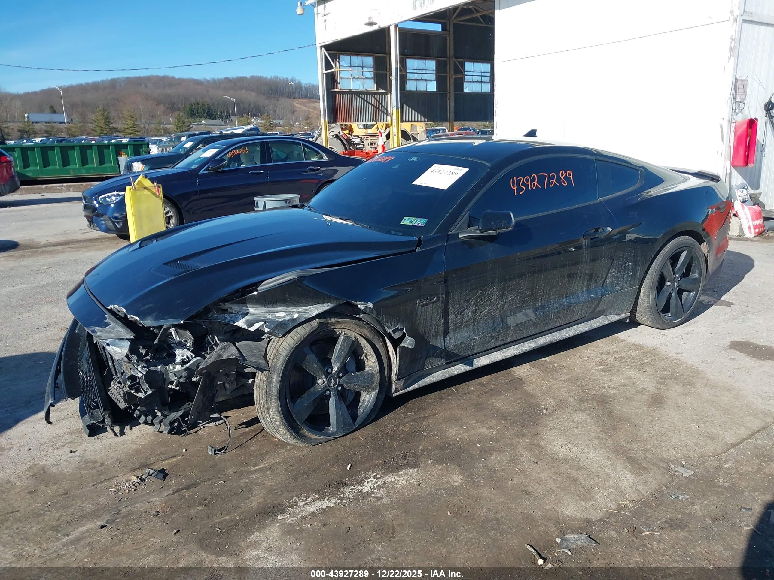 FORD MUSTANG image 2