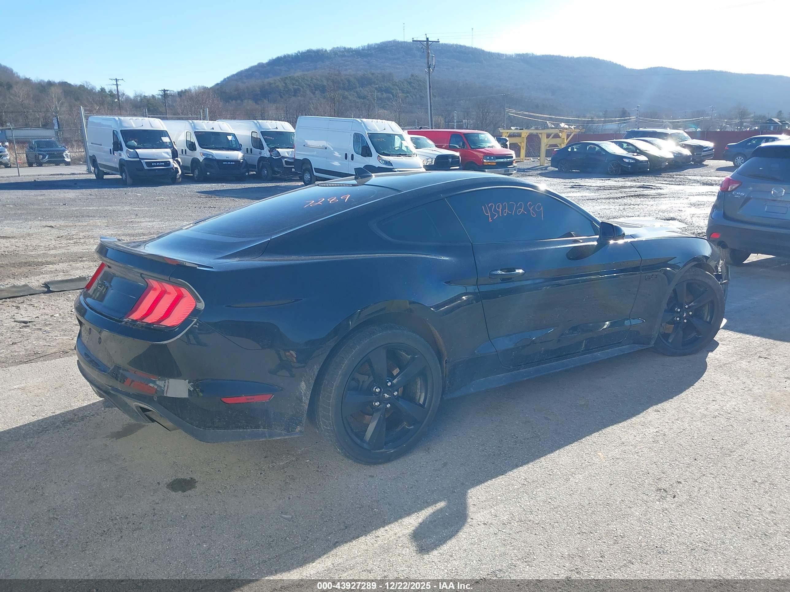 FORD MUSTANG image 4