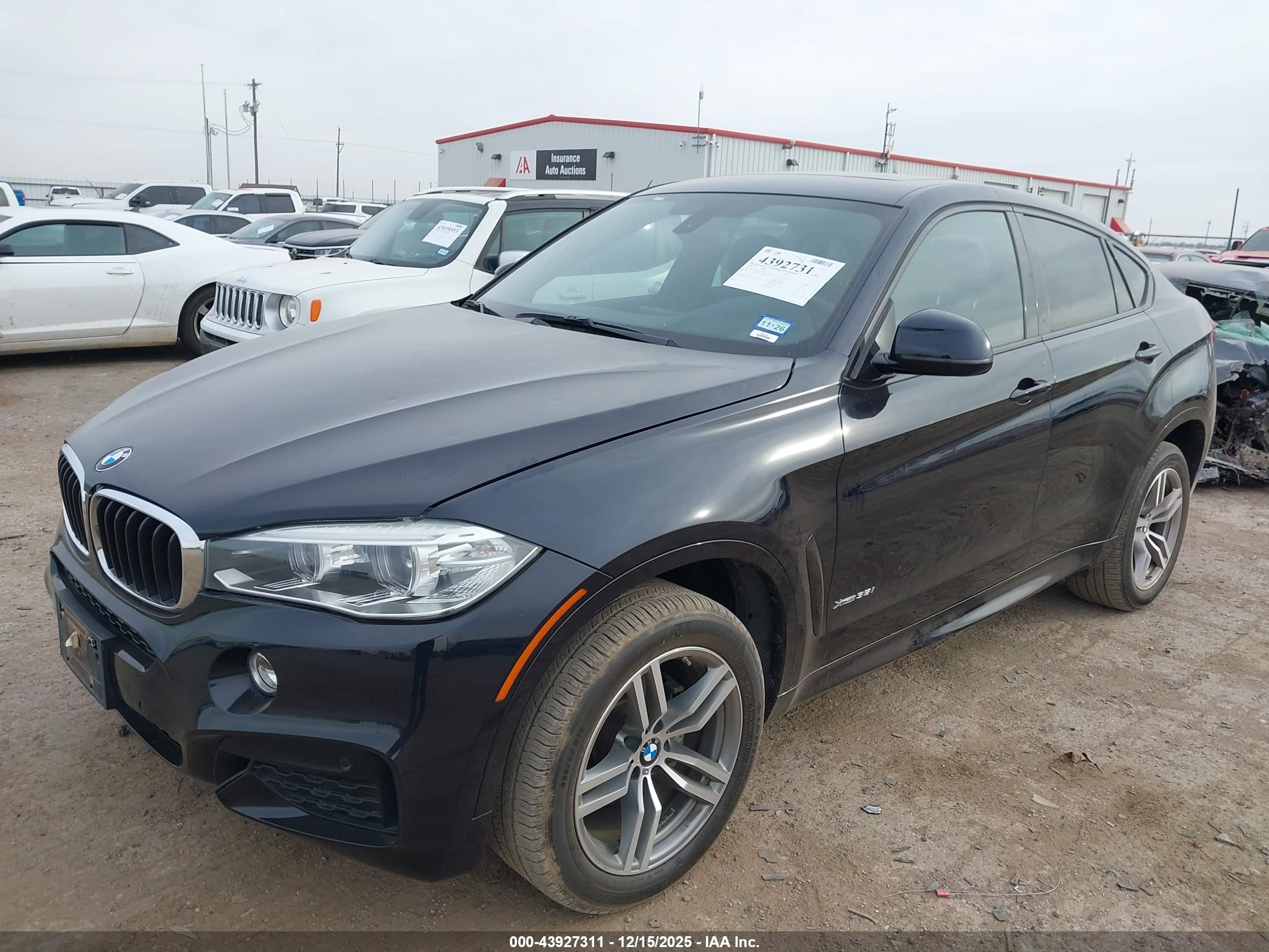 BMW X6 image 2
