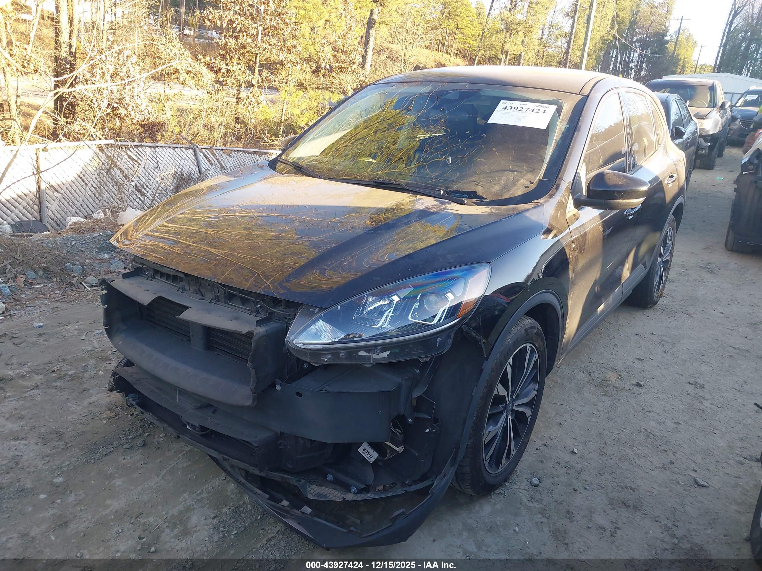 FORD ESCAPE image 2