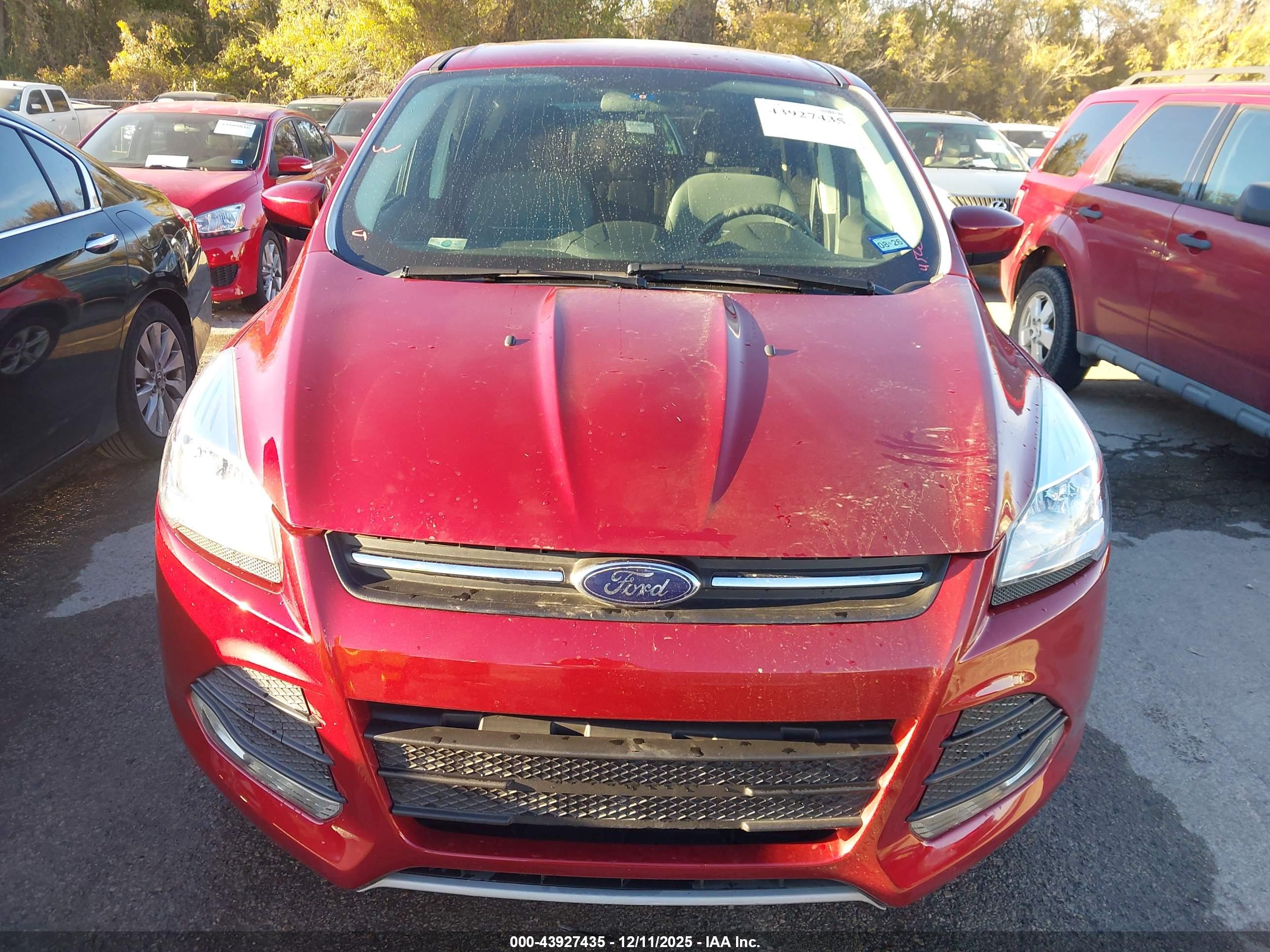 FORD ESCAPE image 6