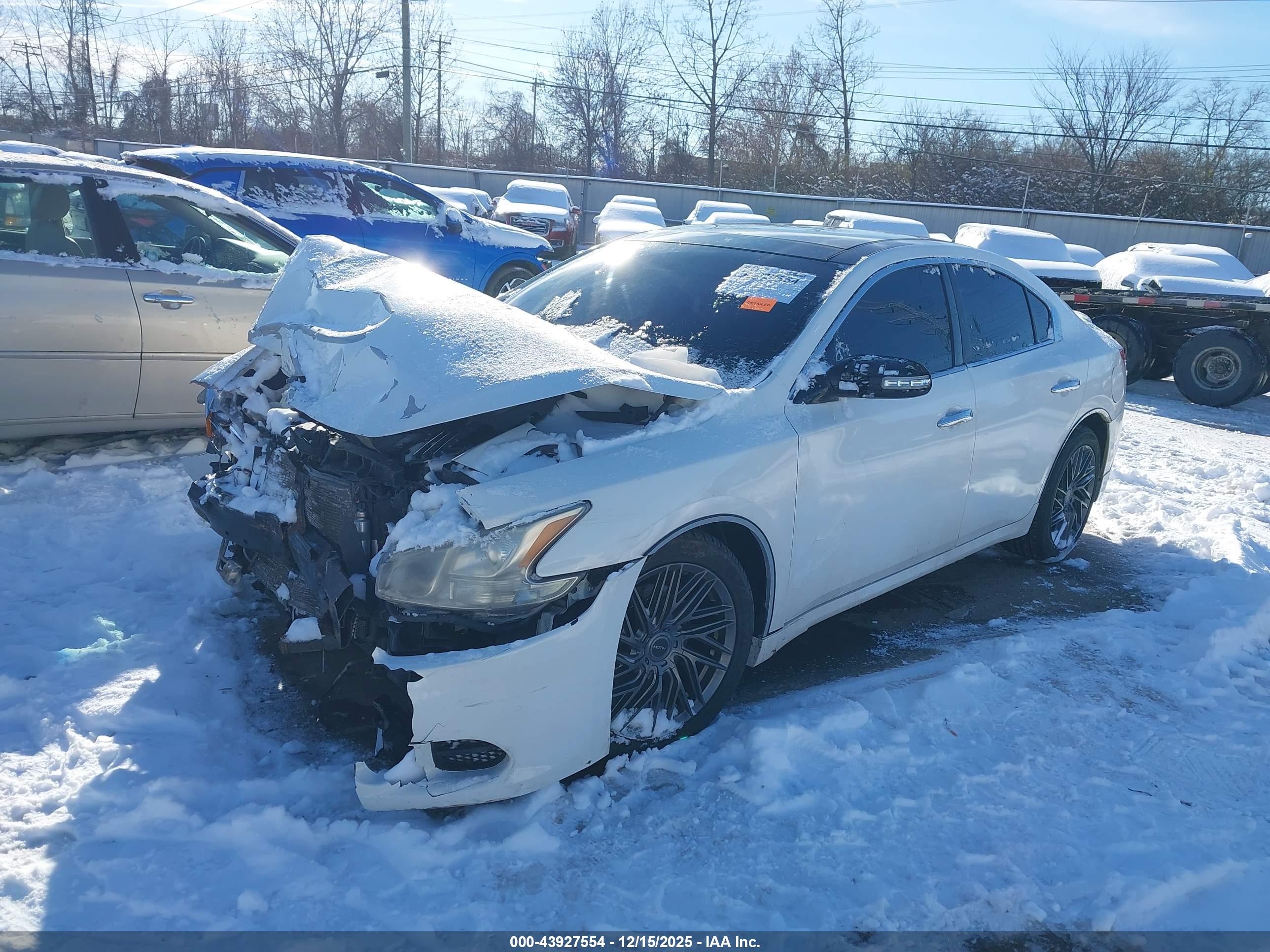 NISSAN MAXIMA image 2