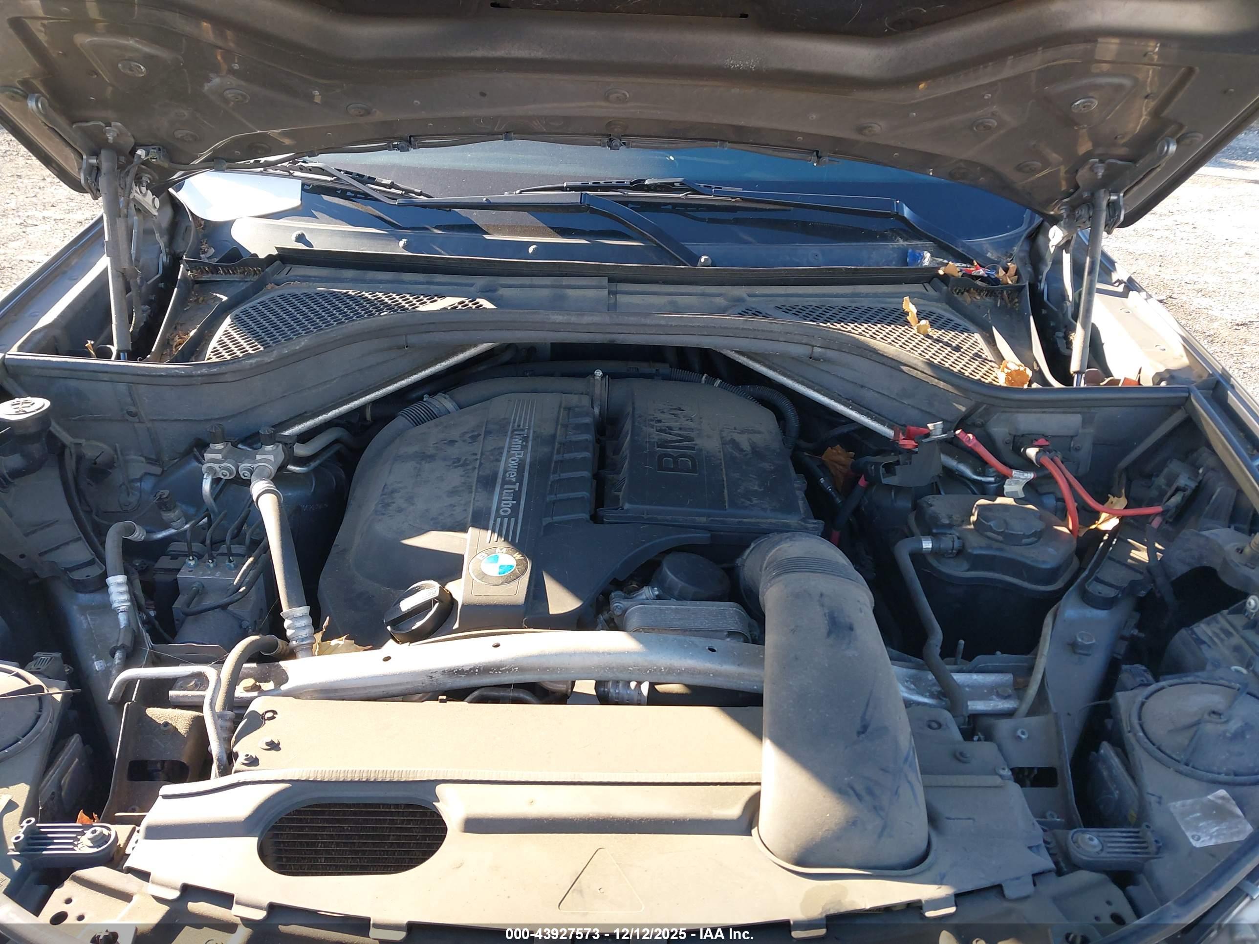 BMW X5 image 10