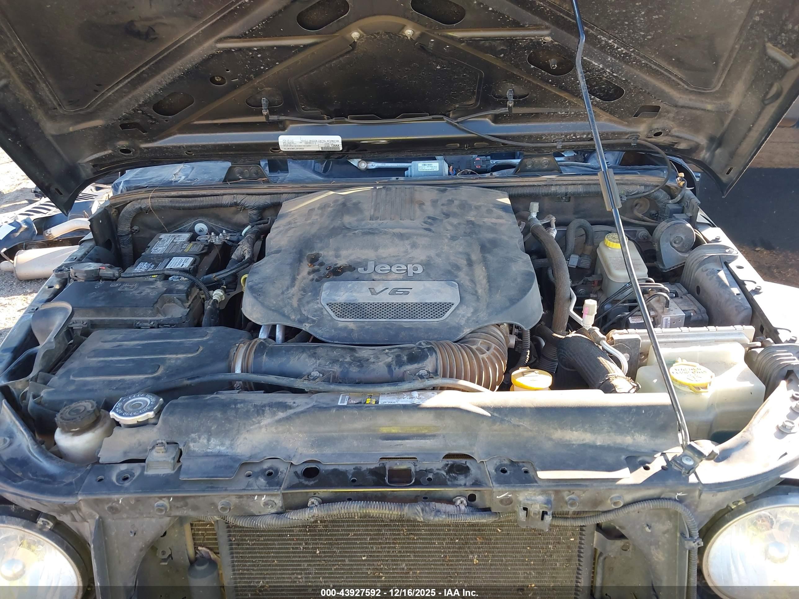 JEEP WRANGLER image 10