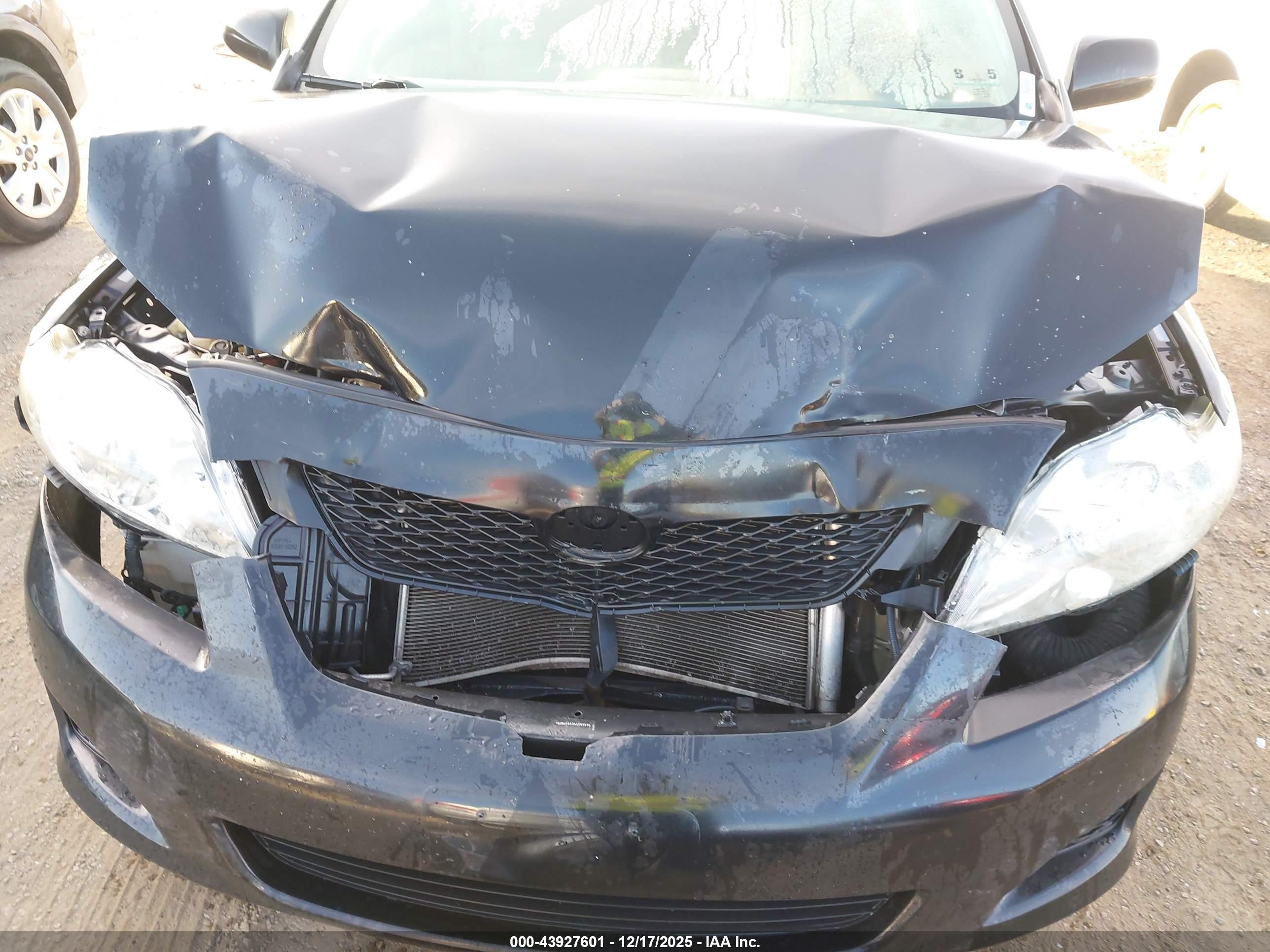 TOYOTA COROLLA image 6