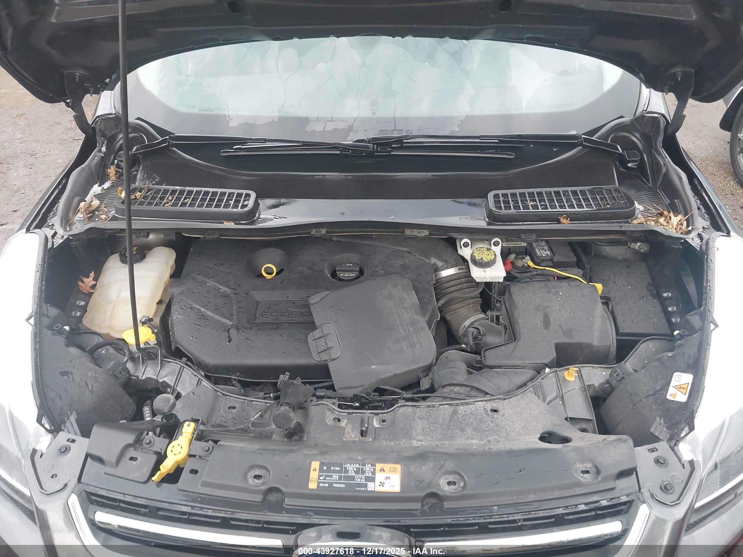 FORD ESCAPE image 10