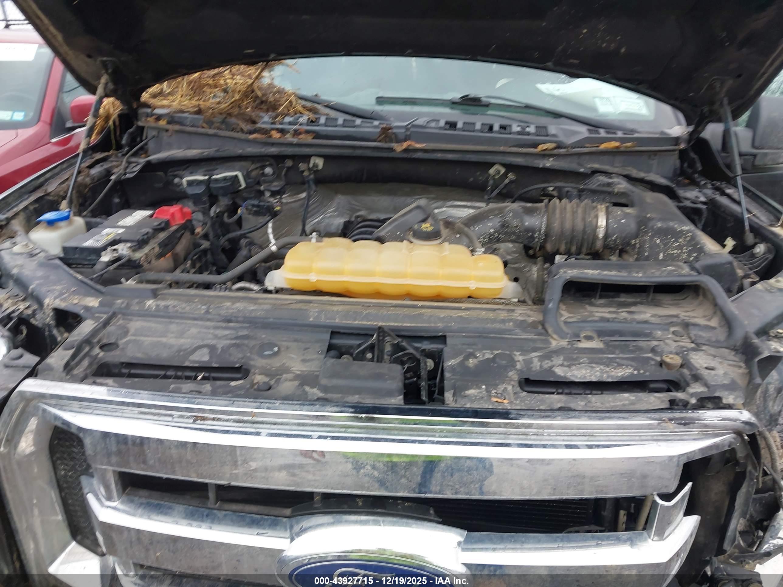 FORD F-150 image 10