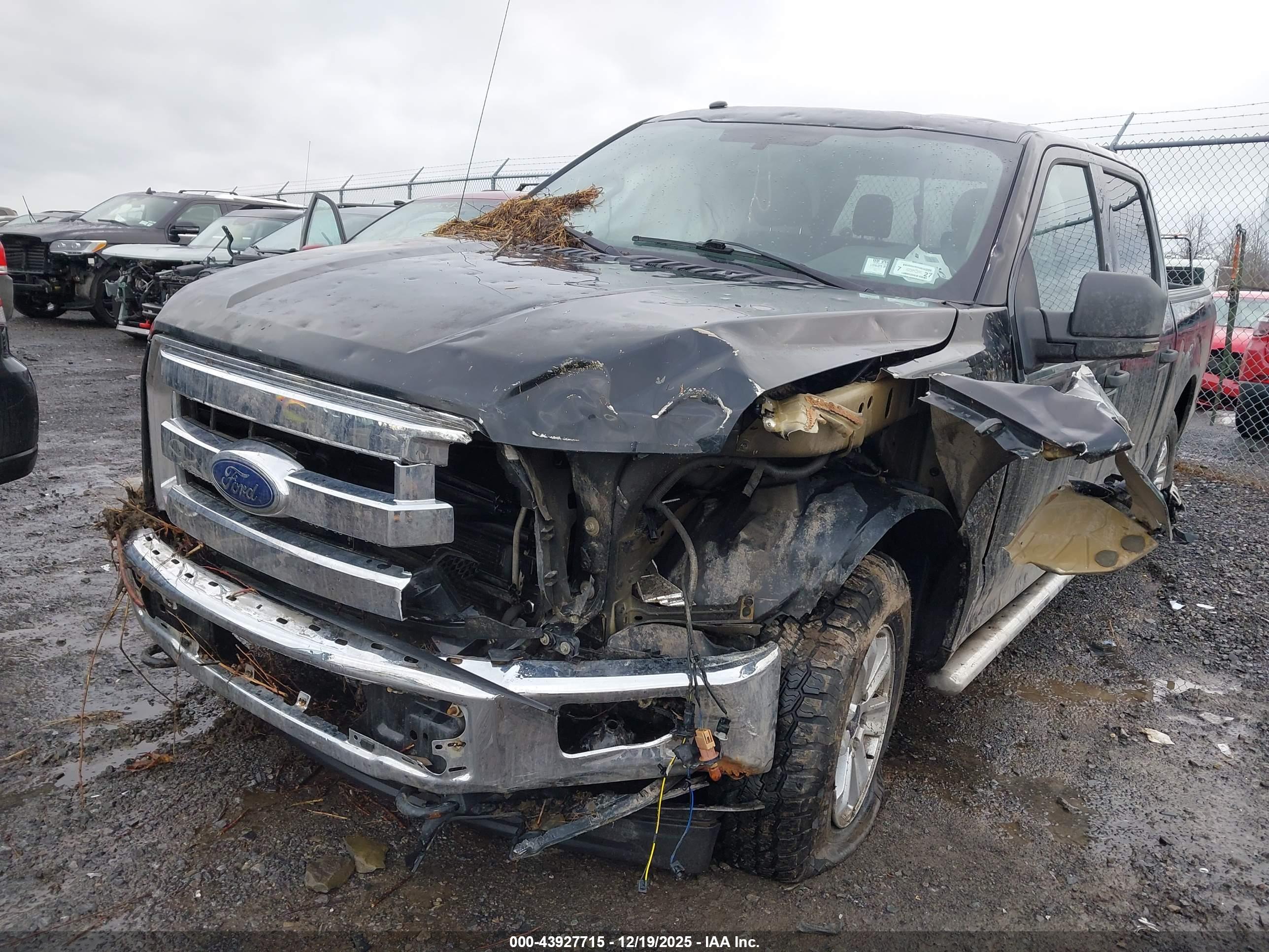 FORD F-150 image 2