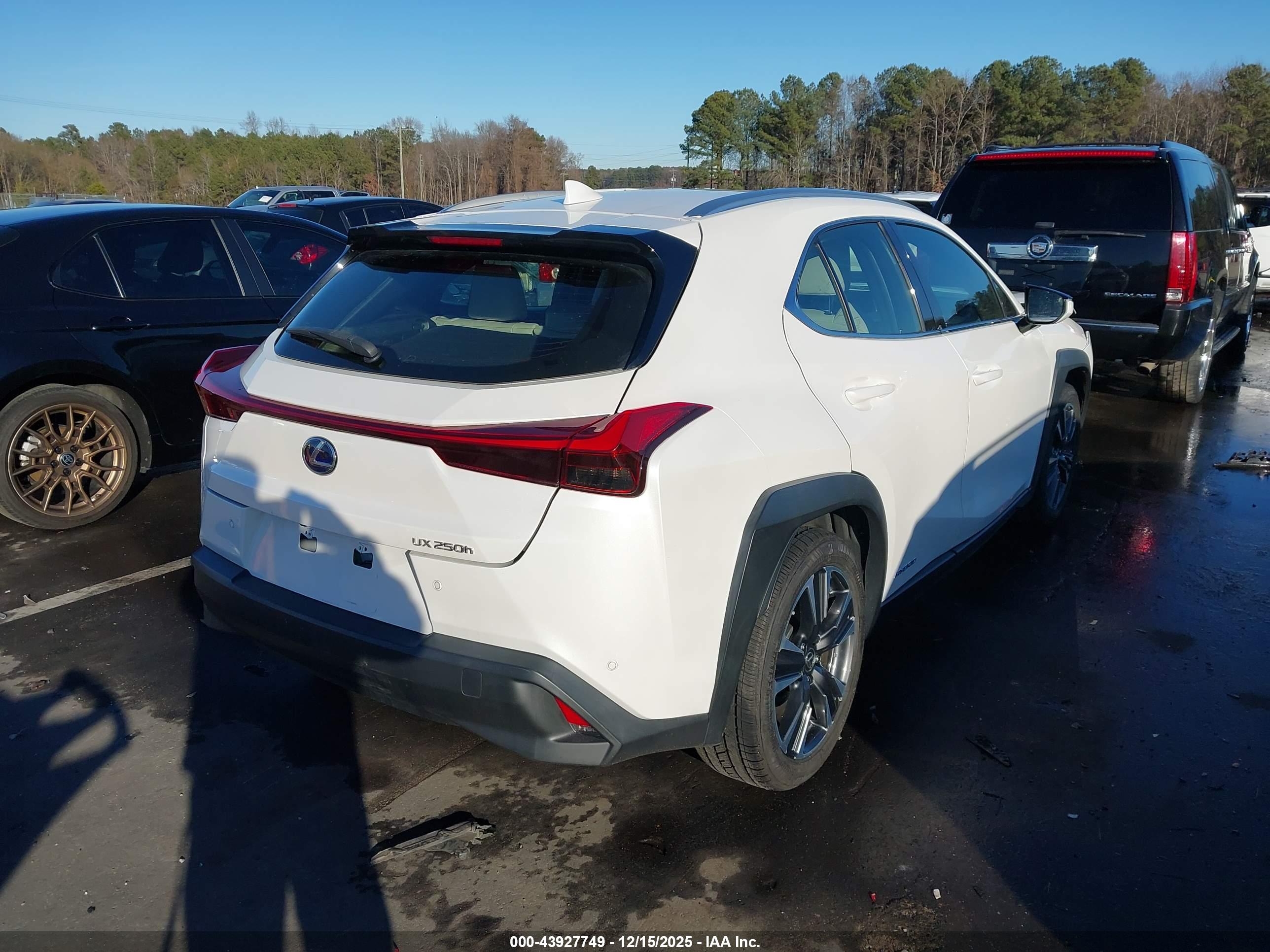 LEXUS UX image 4