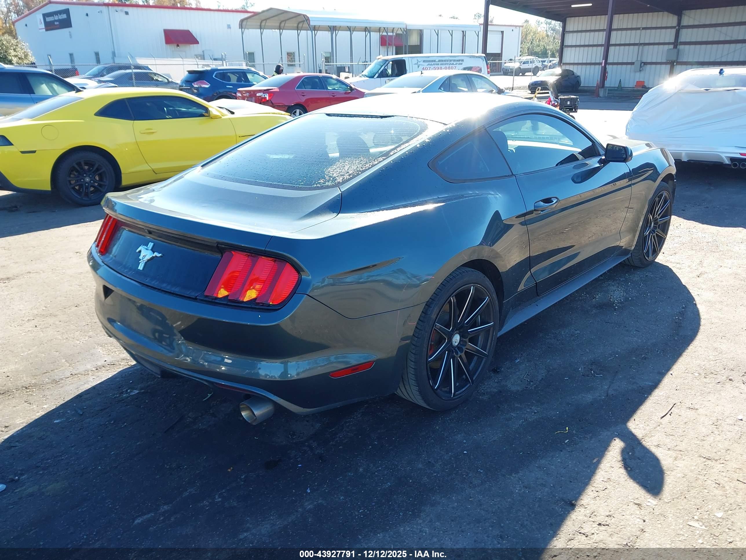 FORD MUSTANG image 4