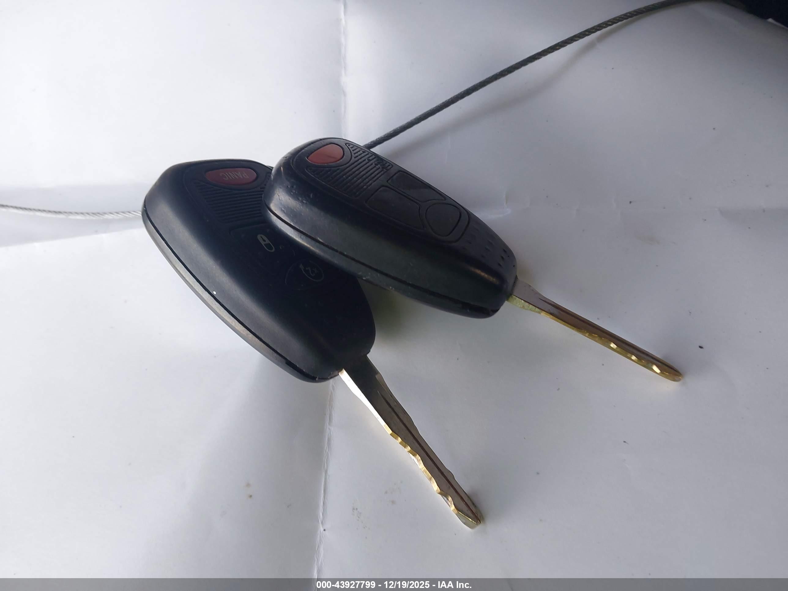 JEEP WRANGLER image 11