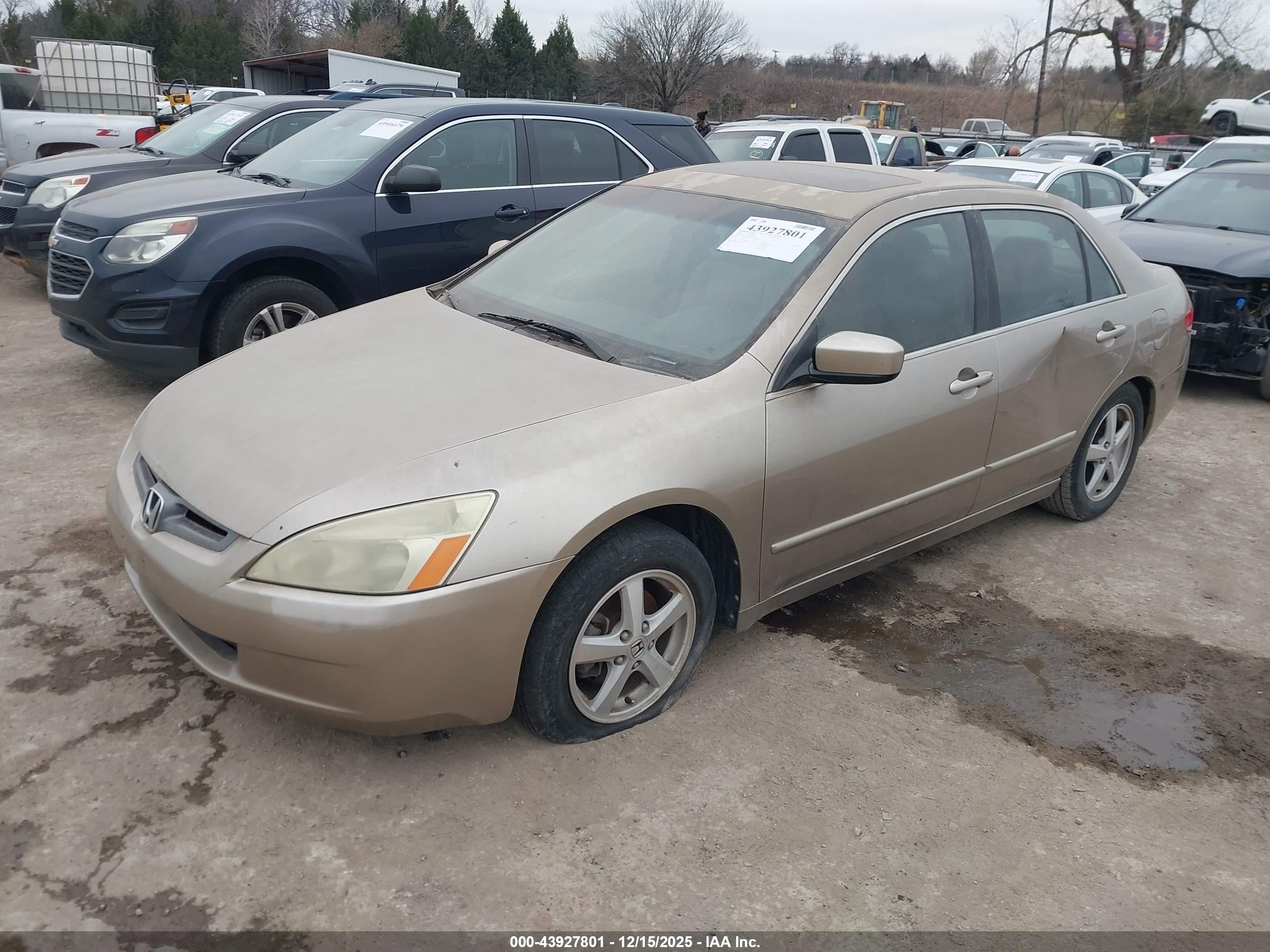 HONDA ACCORD image 2