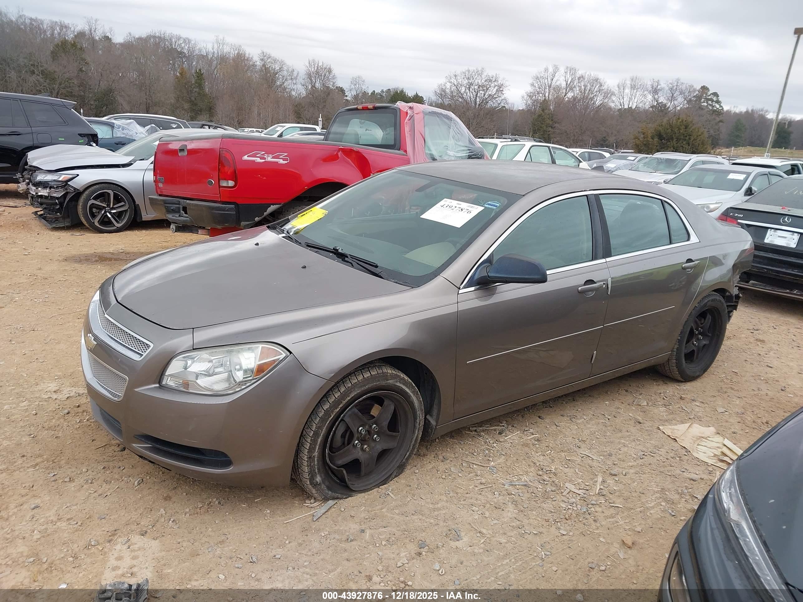 CHEVROLET MALIBU image 2
