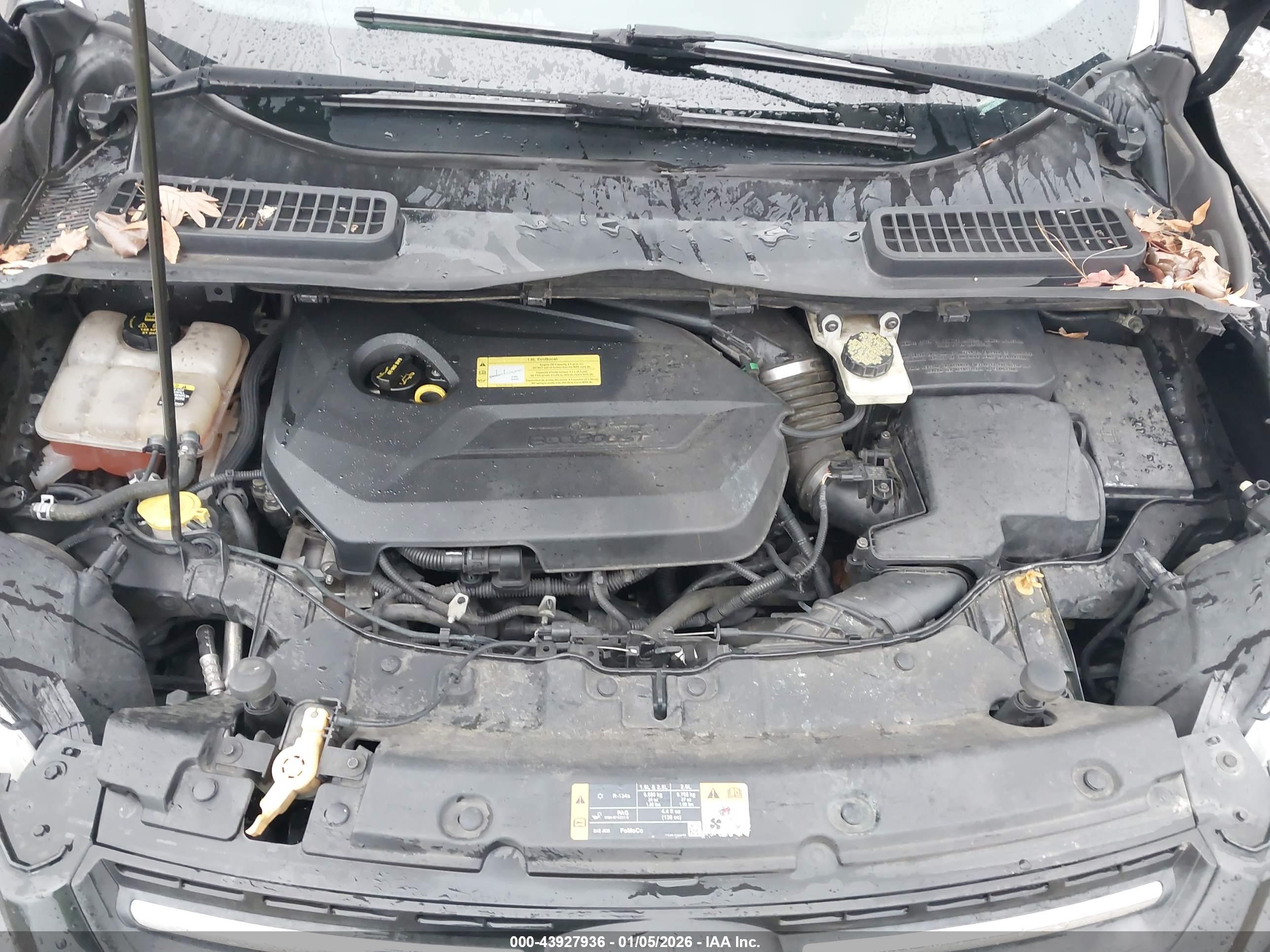 FORD ESCAPE image 10