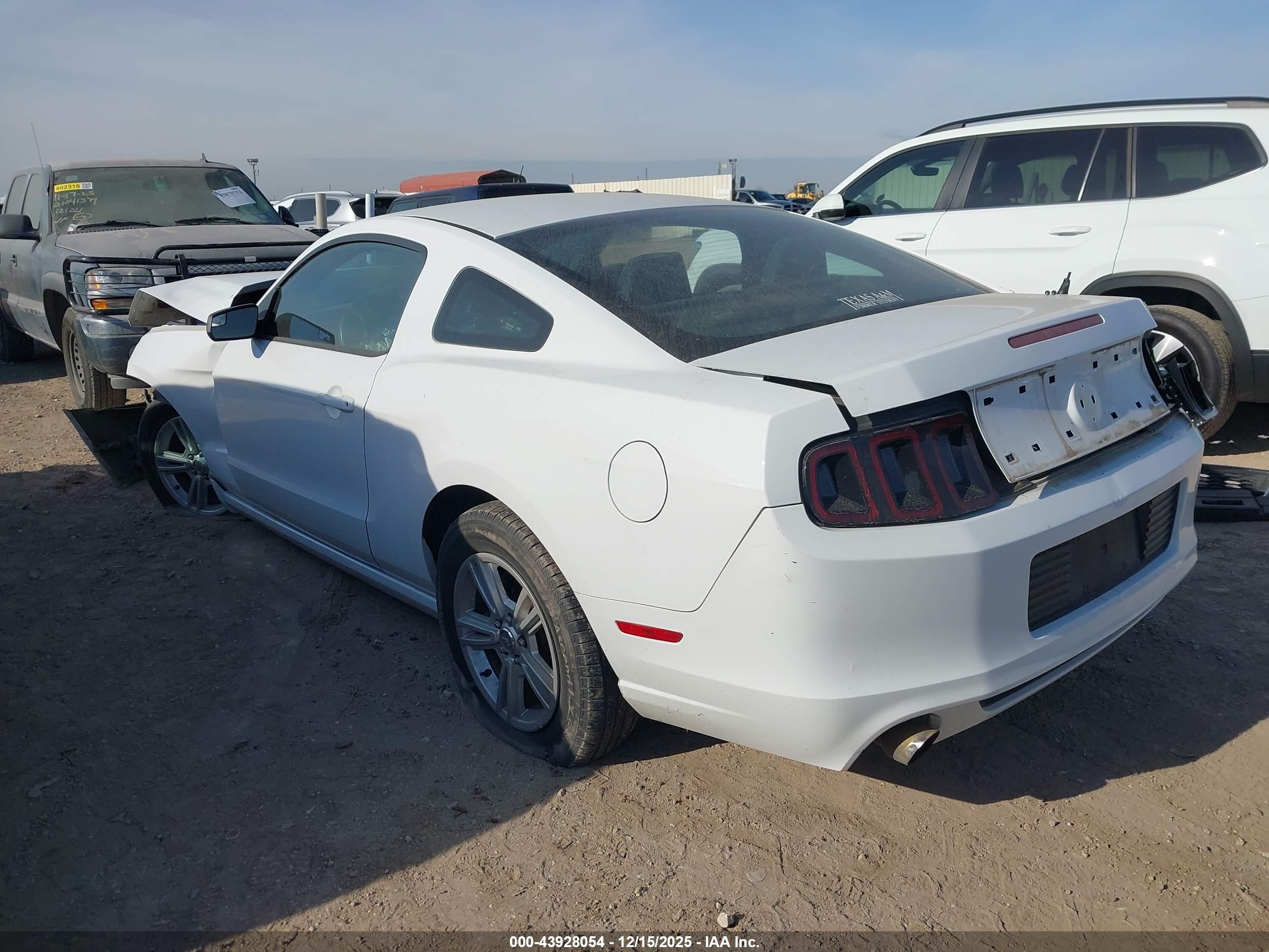 FORD MUSTANG image 3