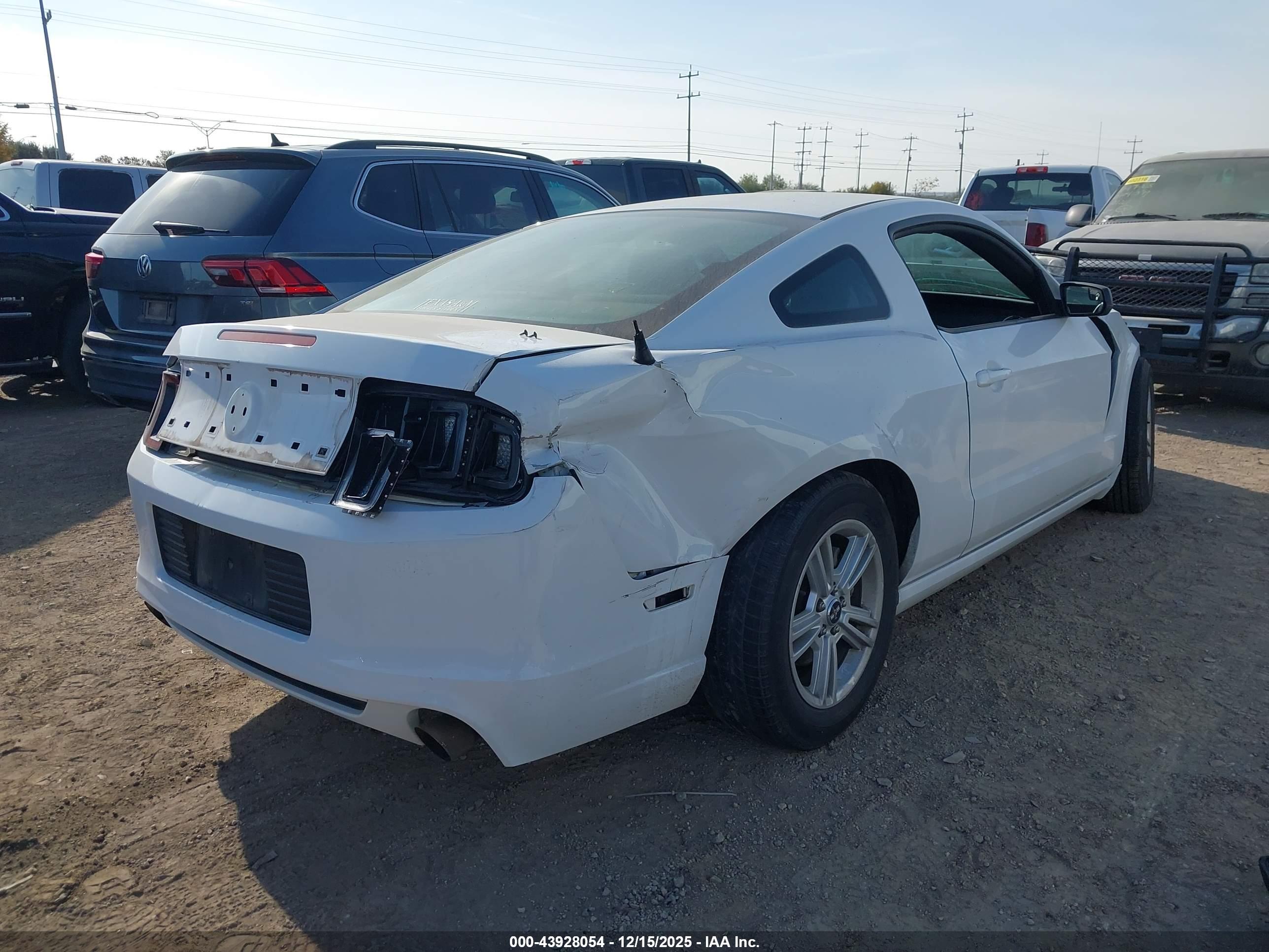 FORD MUSTANG image 4