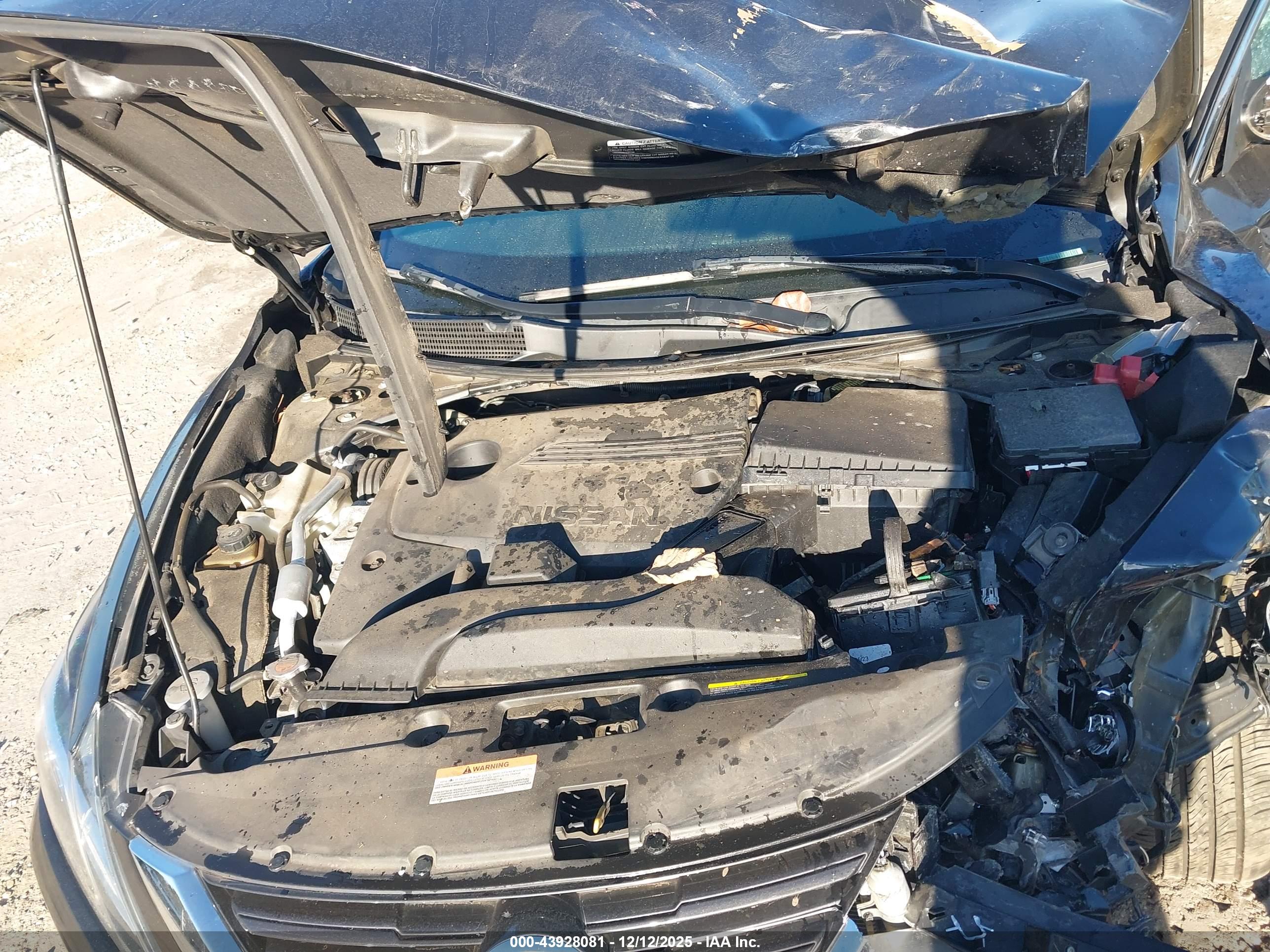NISSAN ALTIMA image 10