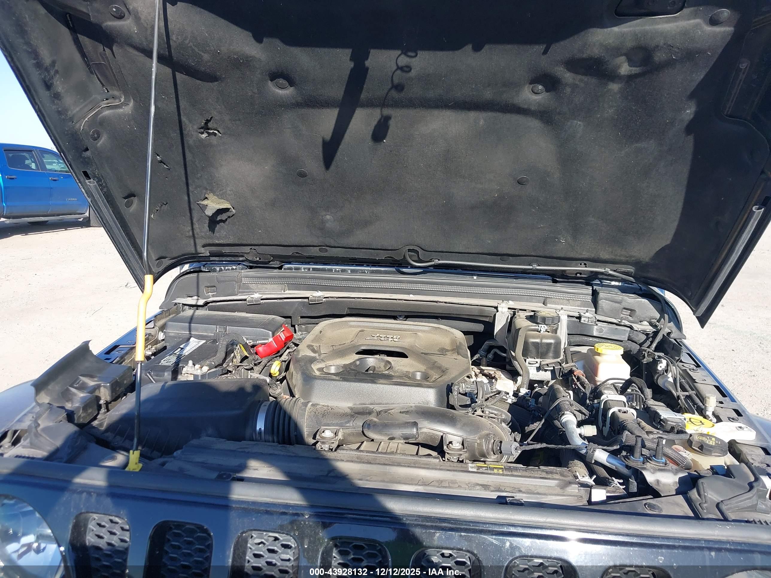 JEEP WRANGLER image 10