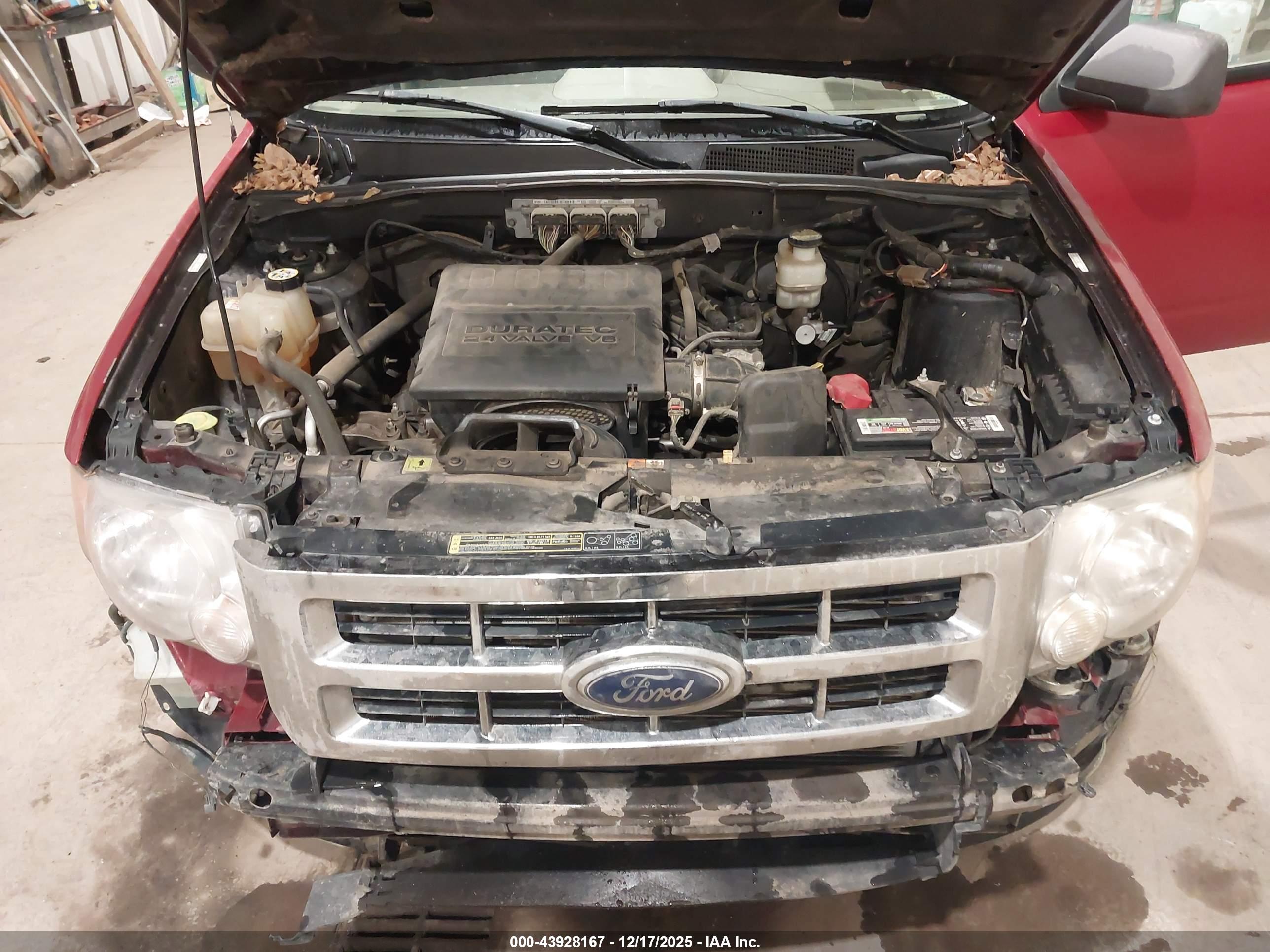FORD ESCAPE image 10