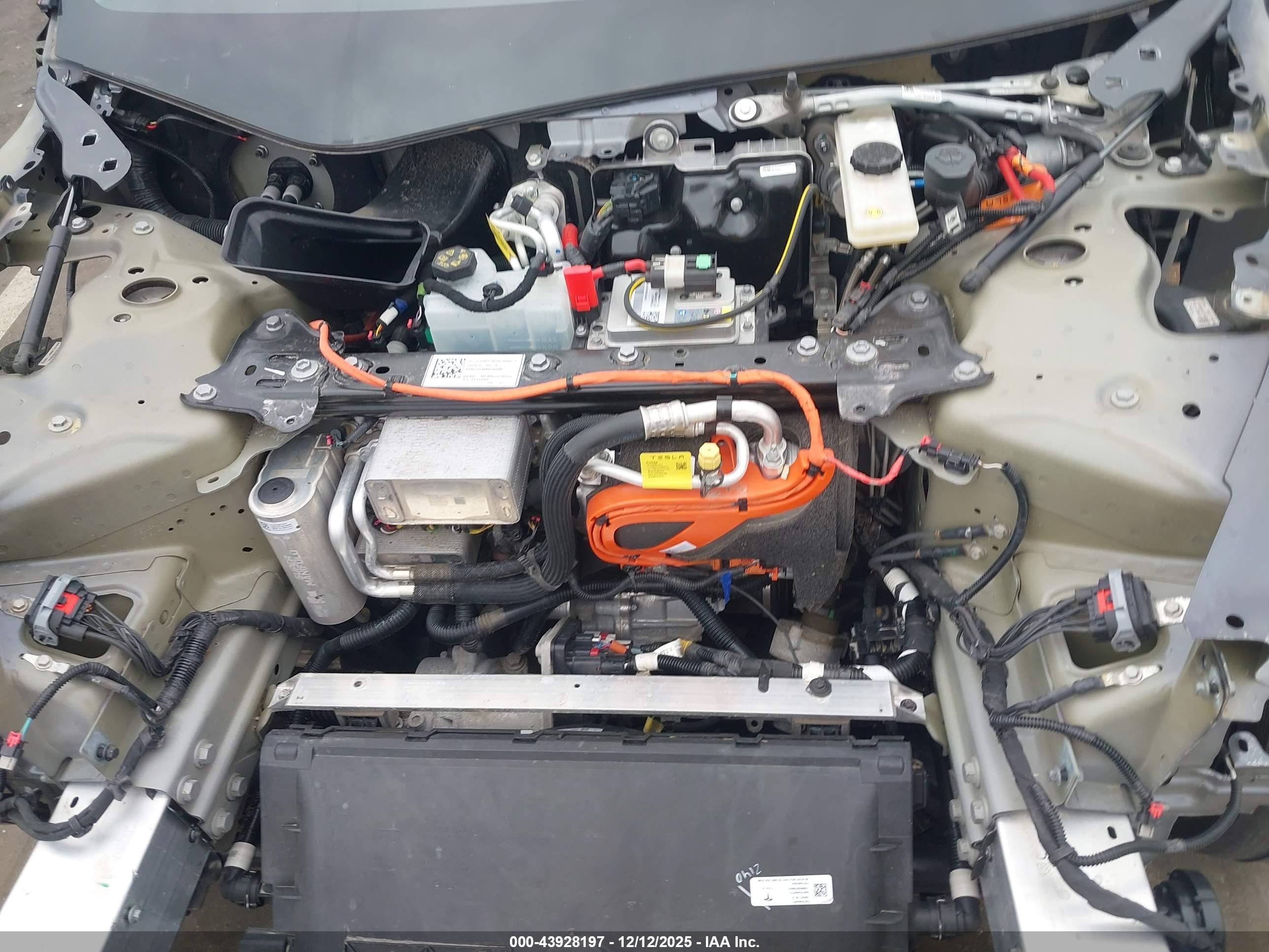 TESLA MODEL image 10