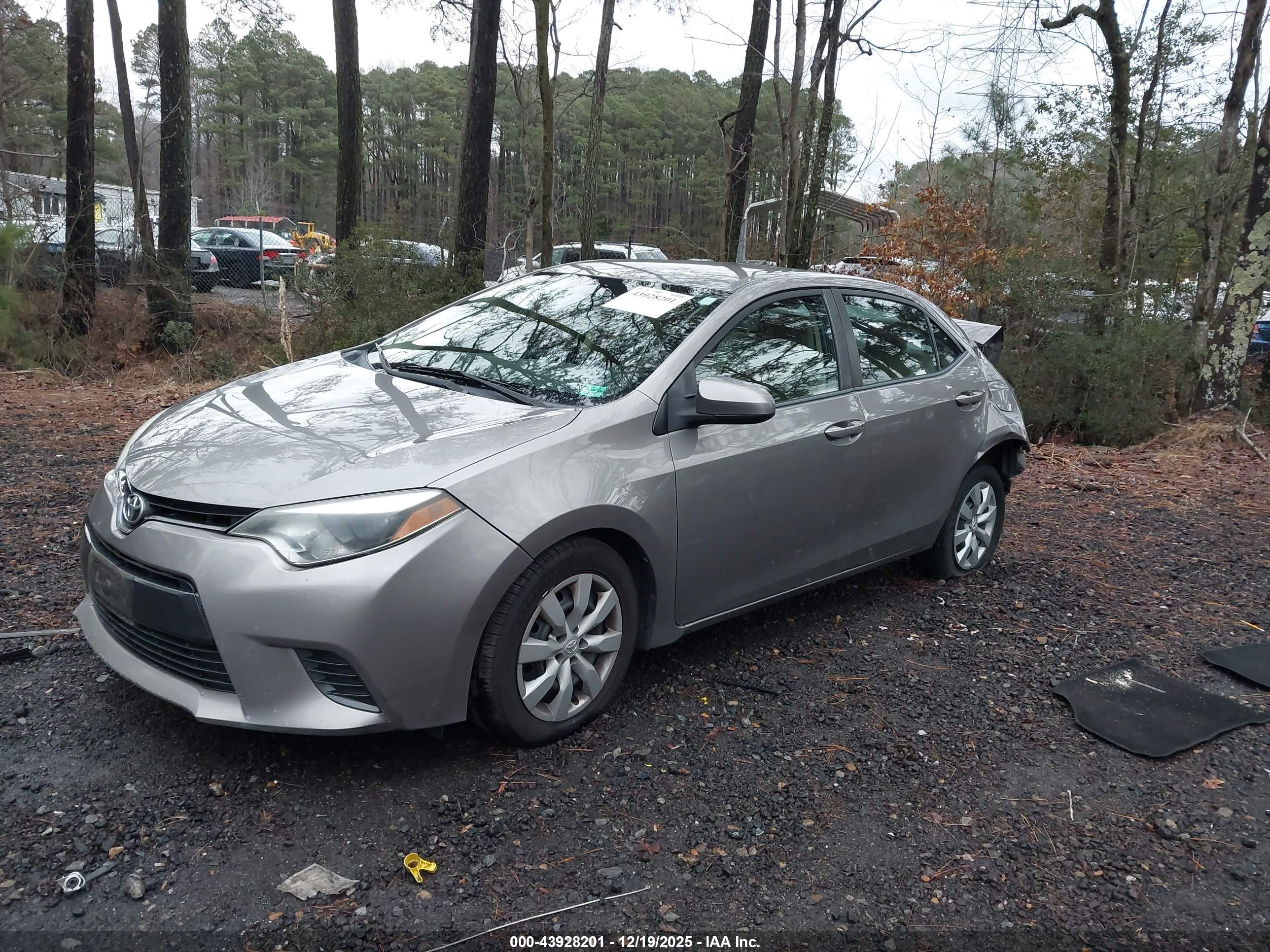 TOYOTA COROLLA image 2