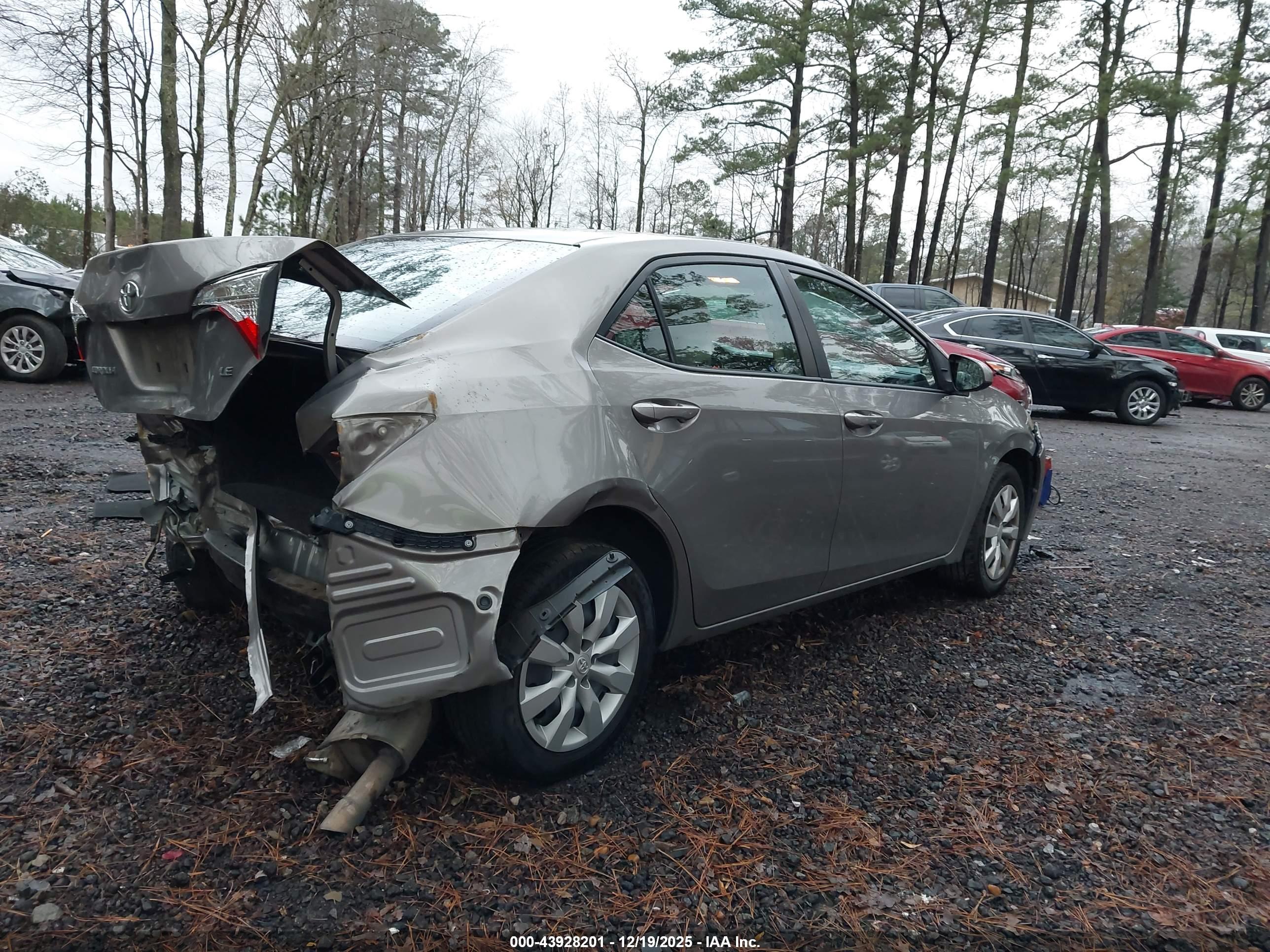 TOYOTA COROLLA image 4