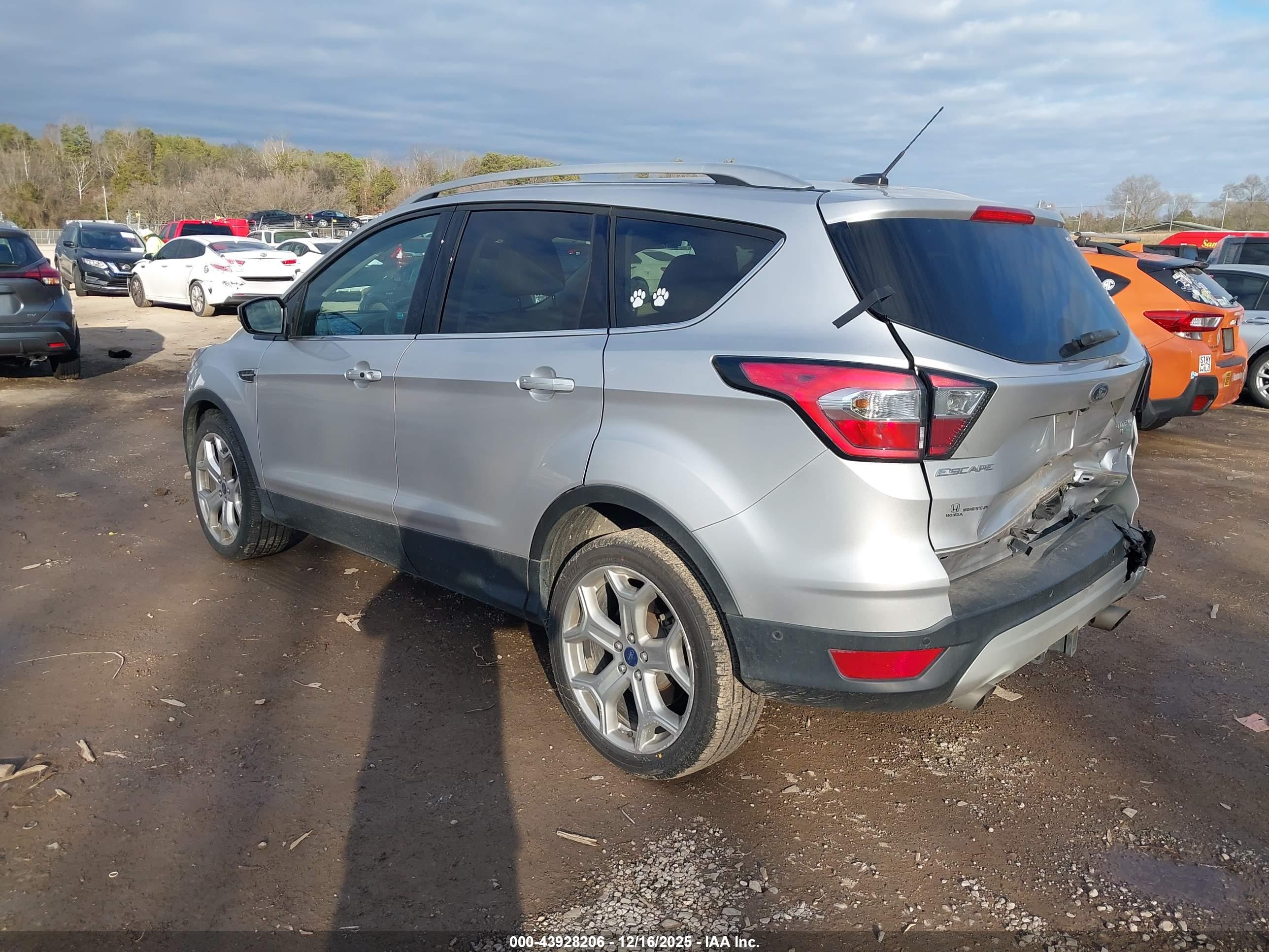 FORD ESCAPE image 3