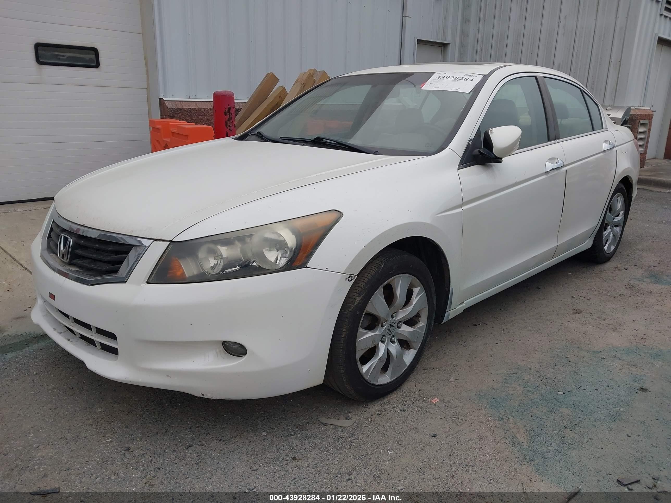 HONDA ACCORD image 2